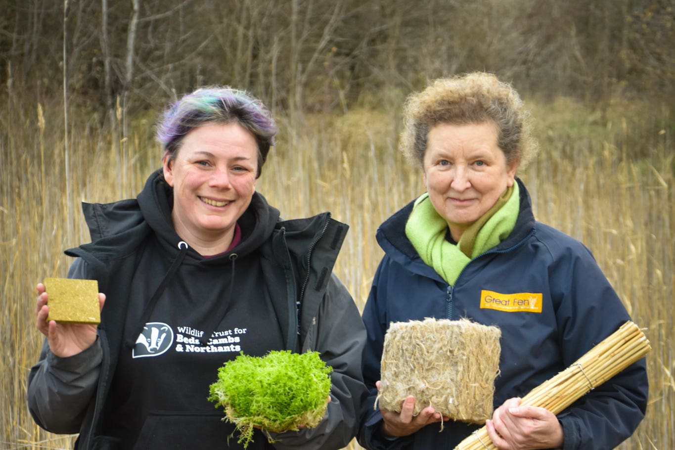 Peatlands Progress will trial the cultivation of crops that can be used for insulation (handout/National Lottery Heritage Fund)