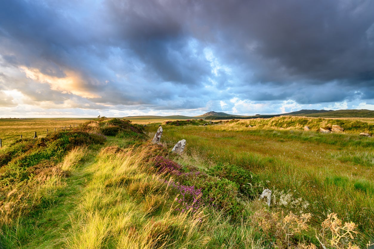 Get back to nature on Bodmin Moor