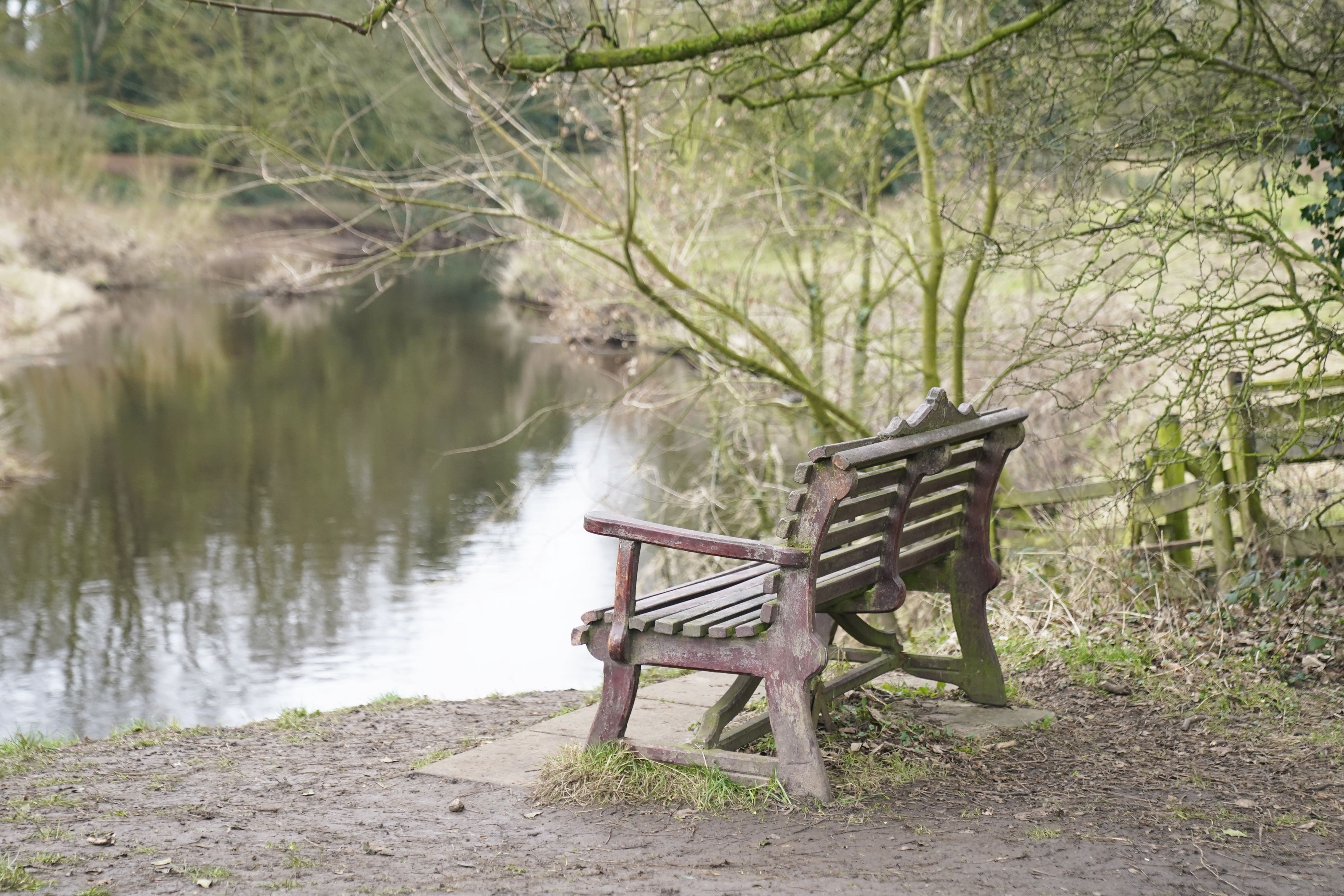 The bench where Nicola Bulley’s phone was found, on the banks of the River Wyre, in St Michael’s on Wyre, Lancashire