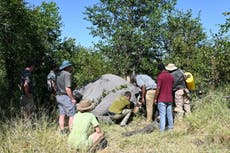 Zimbabwe’s Gonarezhou National Park launches wireless tech system to combat wildlife crime