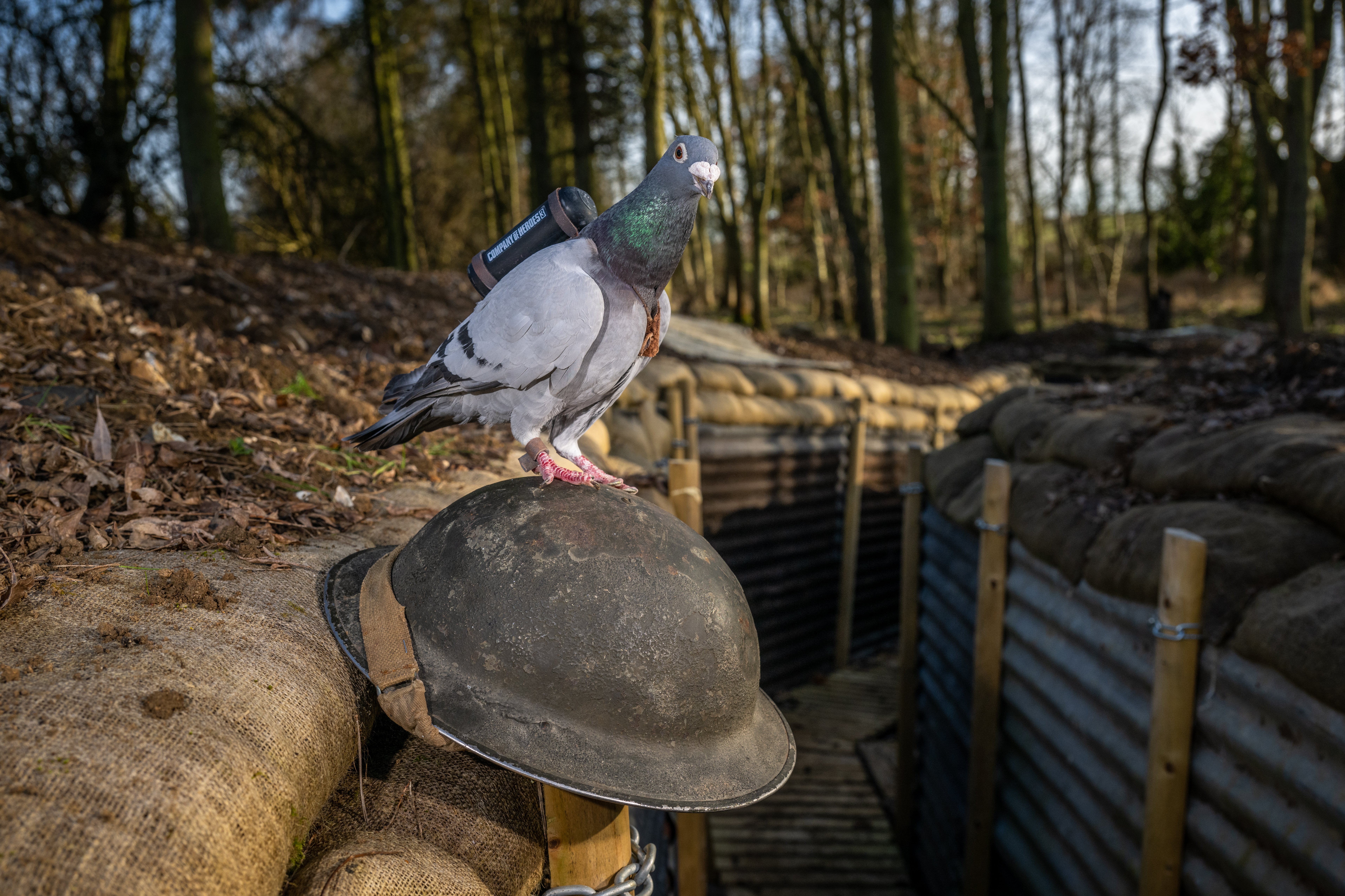 With the help of Birds for Film, a new video game is aiming to educate people on this moment in history and deliver a truly authentic experience of warfare