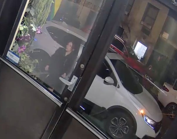 New York City police are searching for a woman caught on surveillance video setting fire to a Pride flag