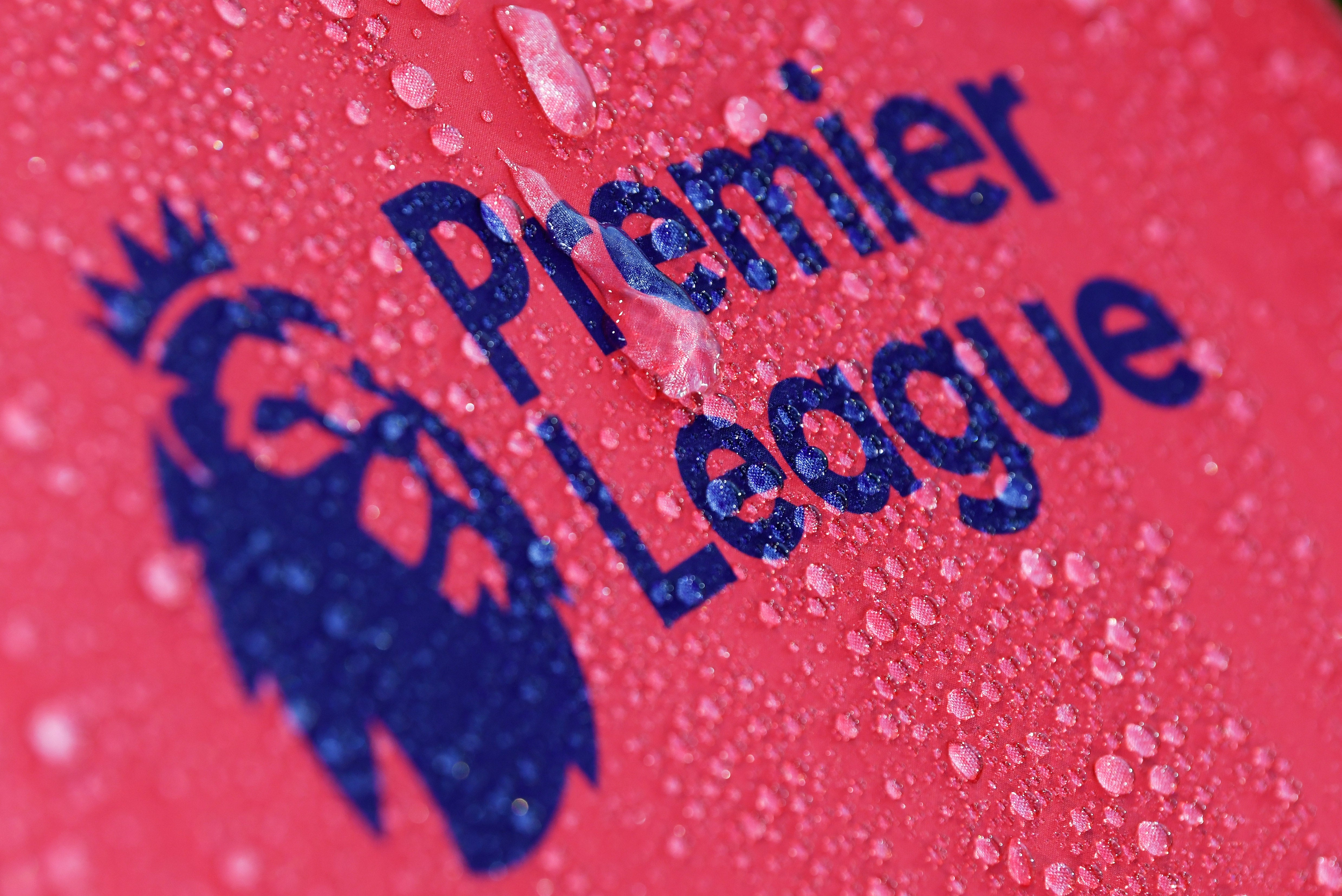 The Premier League has concerns over the introduction of a regulator