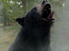 Cocaine Bear performer says he studied The Revenant bear and Baloo from Jungle Book