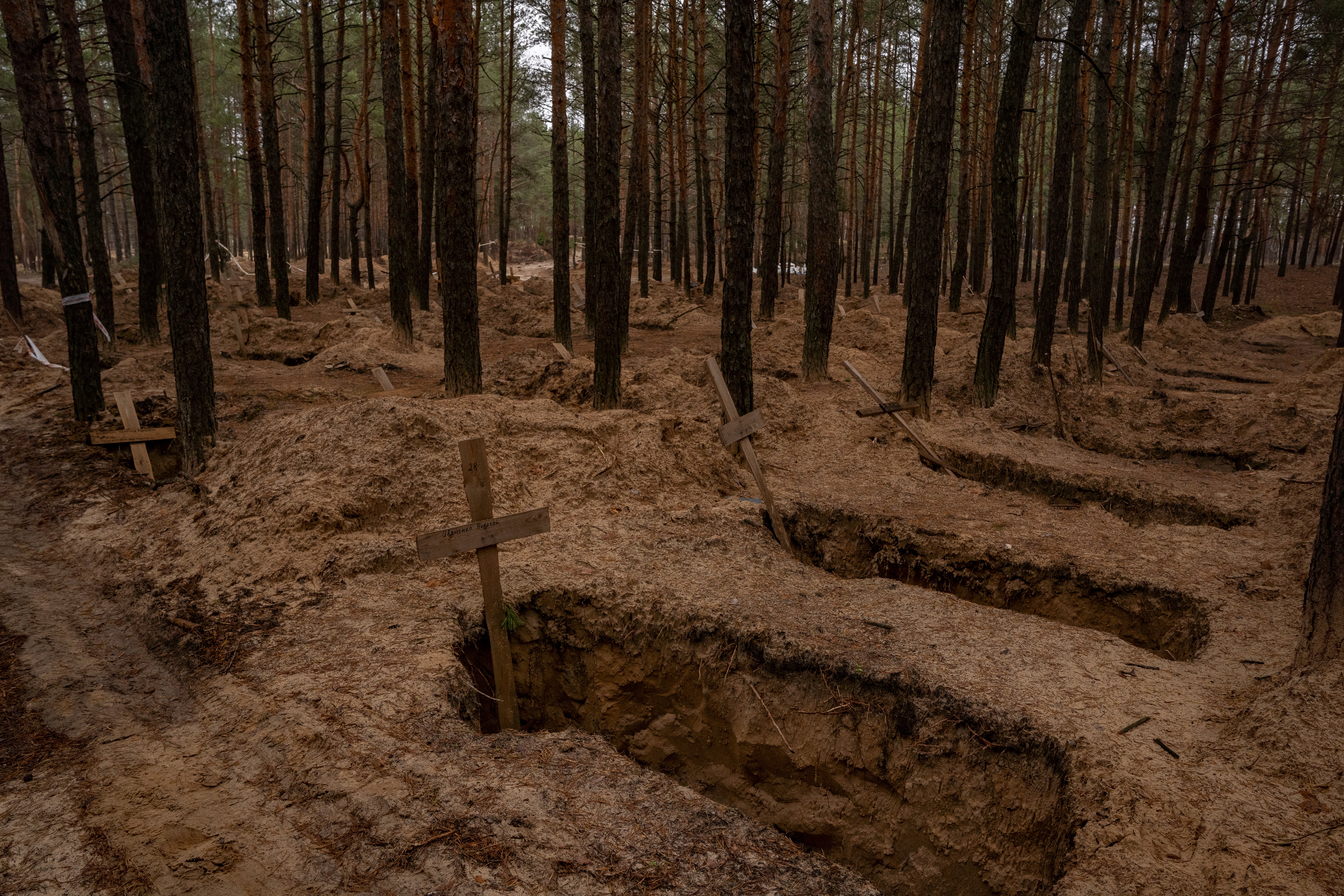 The graves in the woods in Ukraine filmed for The Body in the Woods documentary