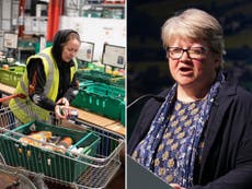 ‘Work more hours’ Therese Coffey tells people struggling to buy food