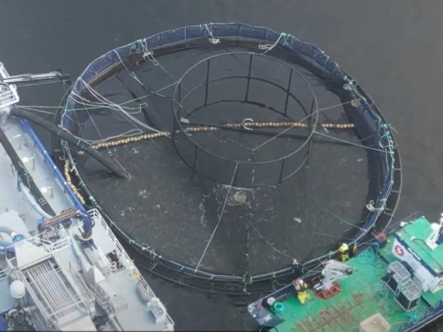 A floating fish farm