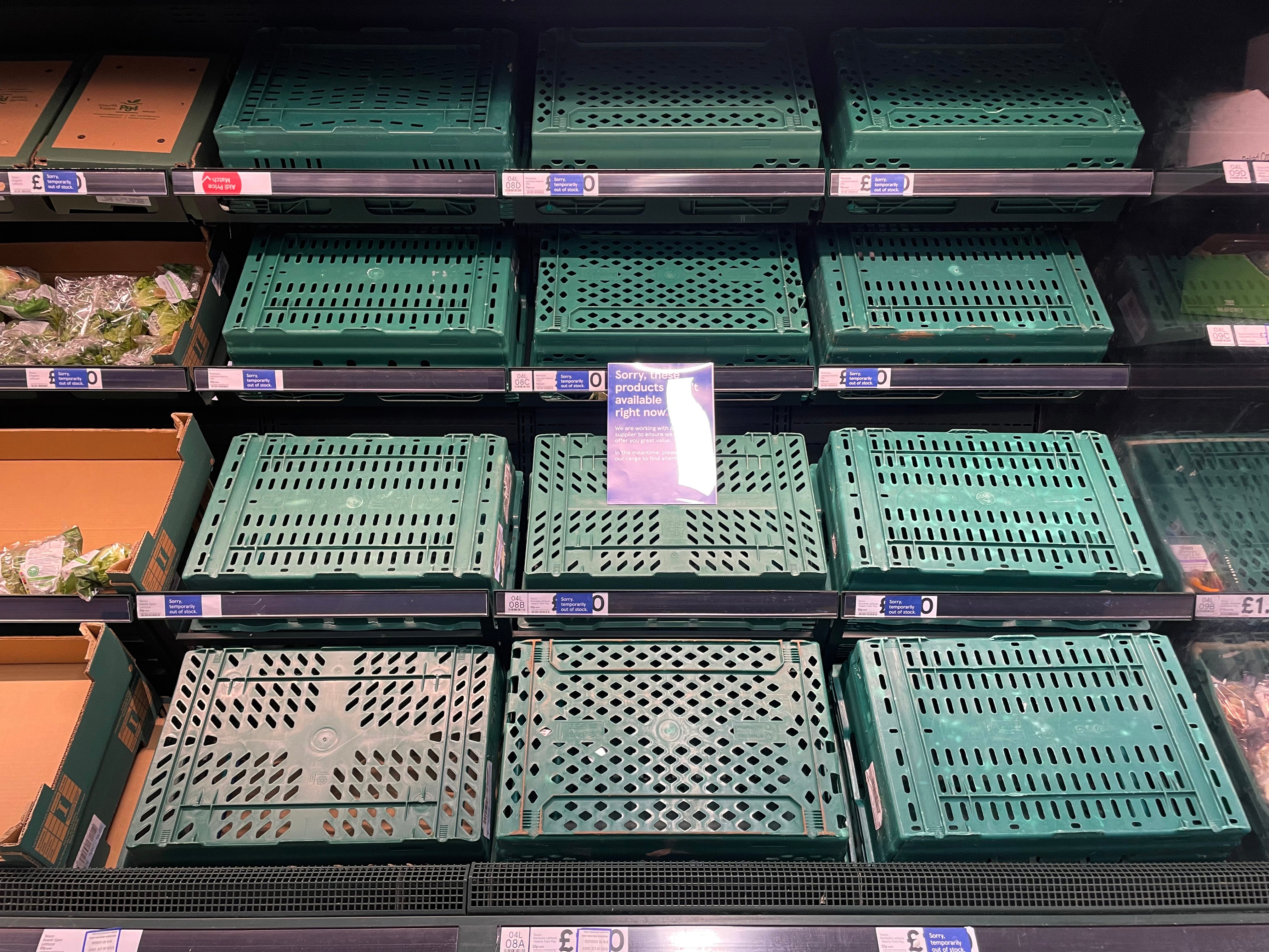 Empty shelves are seen in the fruit and vegetable aisles of a Tesco supermarket on 22 February 2023 in Burgess Hill, United Kingdom