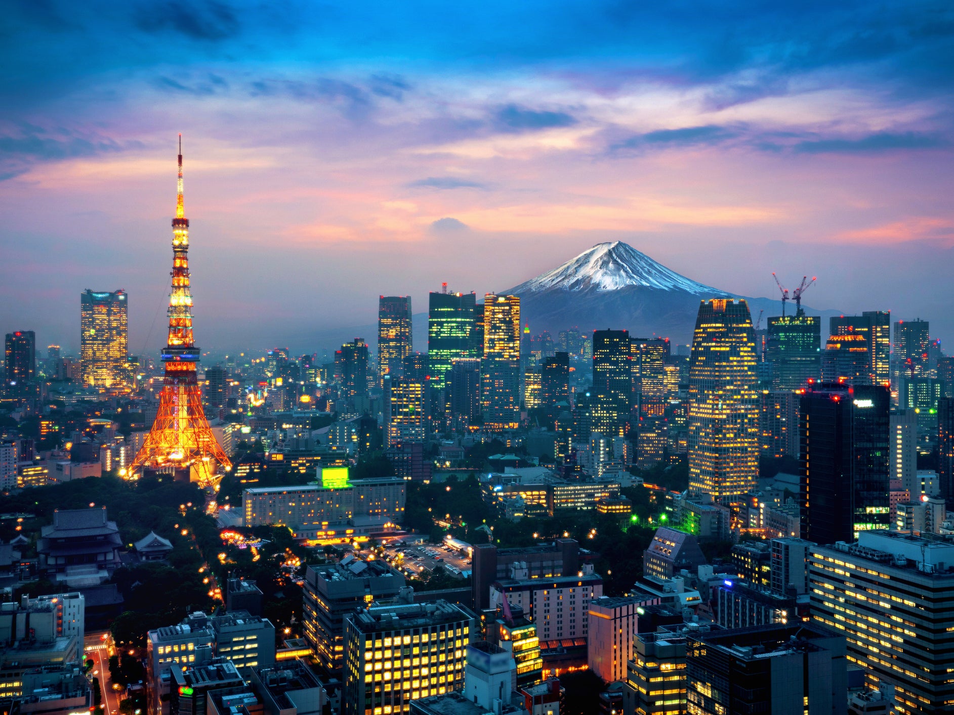 Aerial view of Tokyo cityscape with Fuji mountain in Japan.