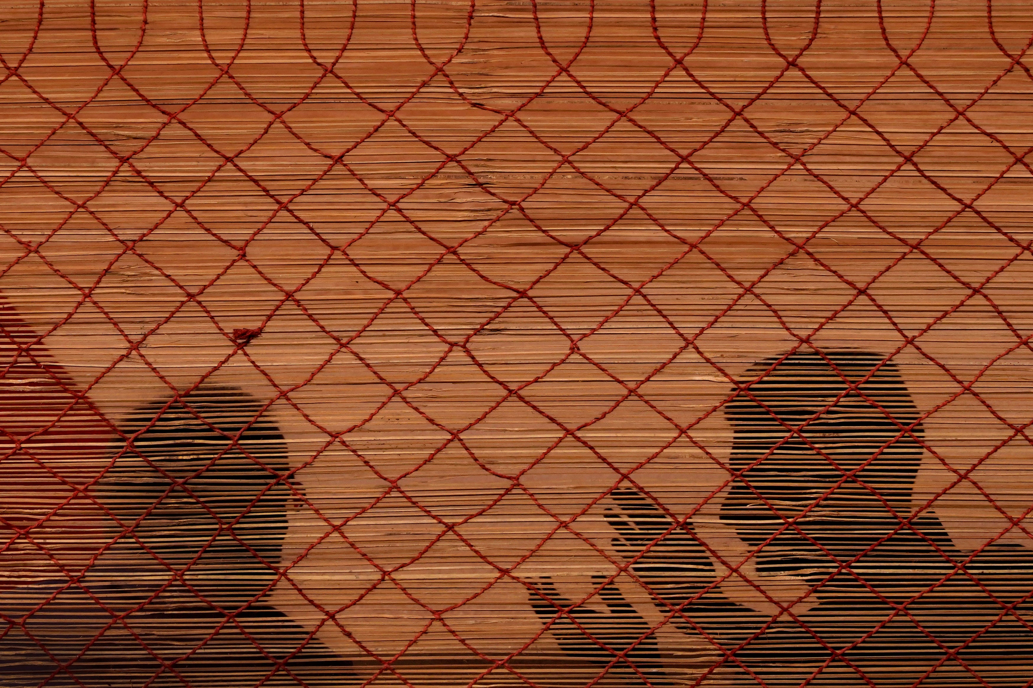 APTOPIX India Germany