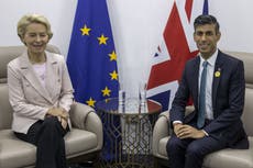Rishi Sunak and EU’s Ursula von der Leyen to hold in-person talks as Brexit deal imminent