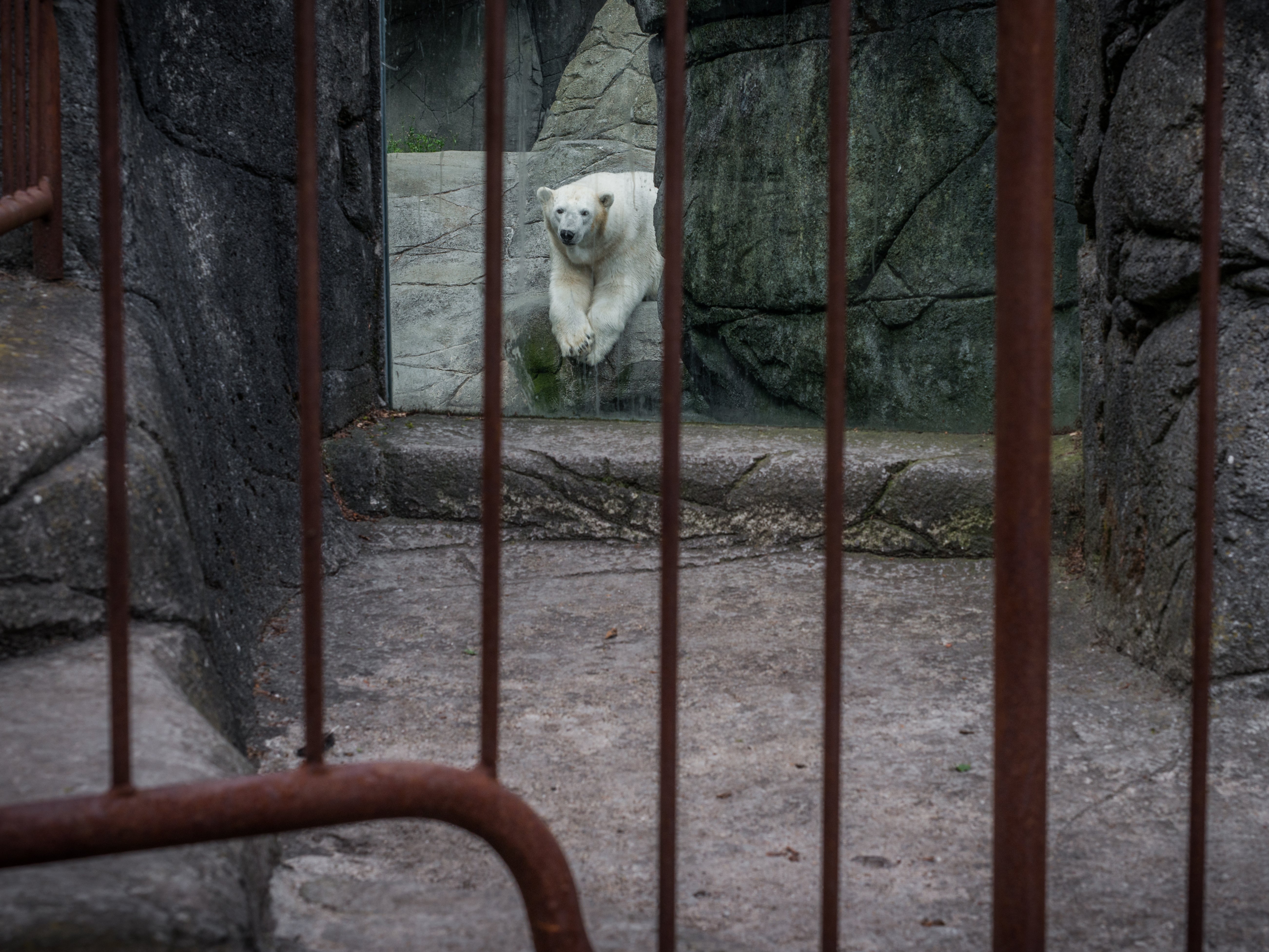 A Danish zoo