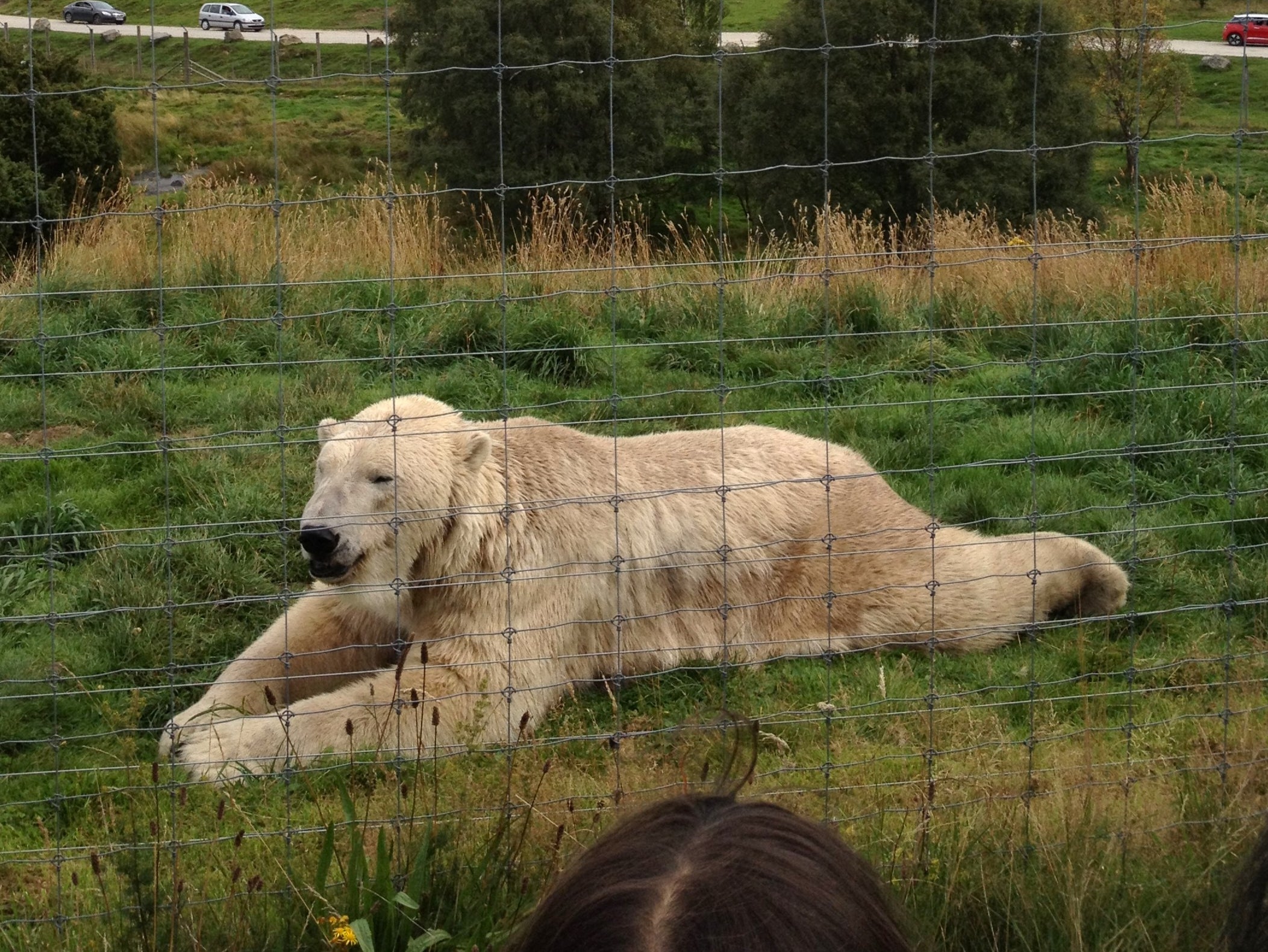 Highland Wildlife Park