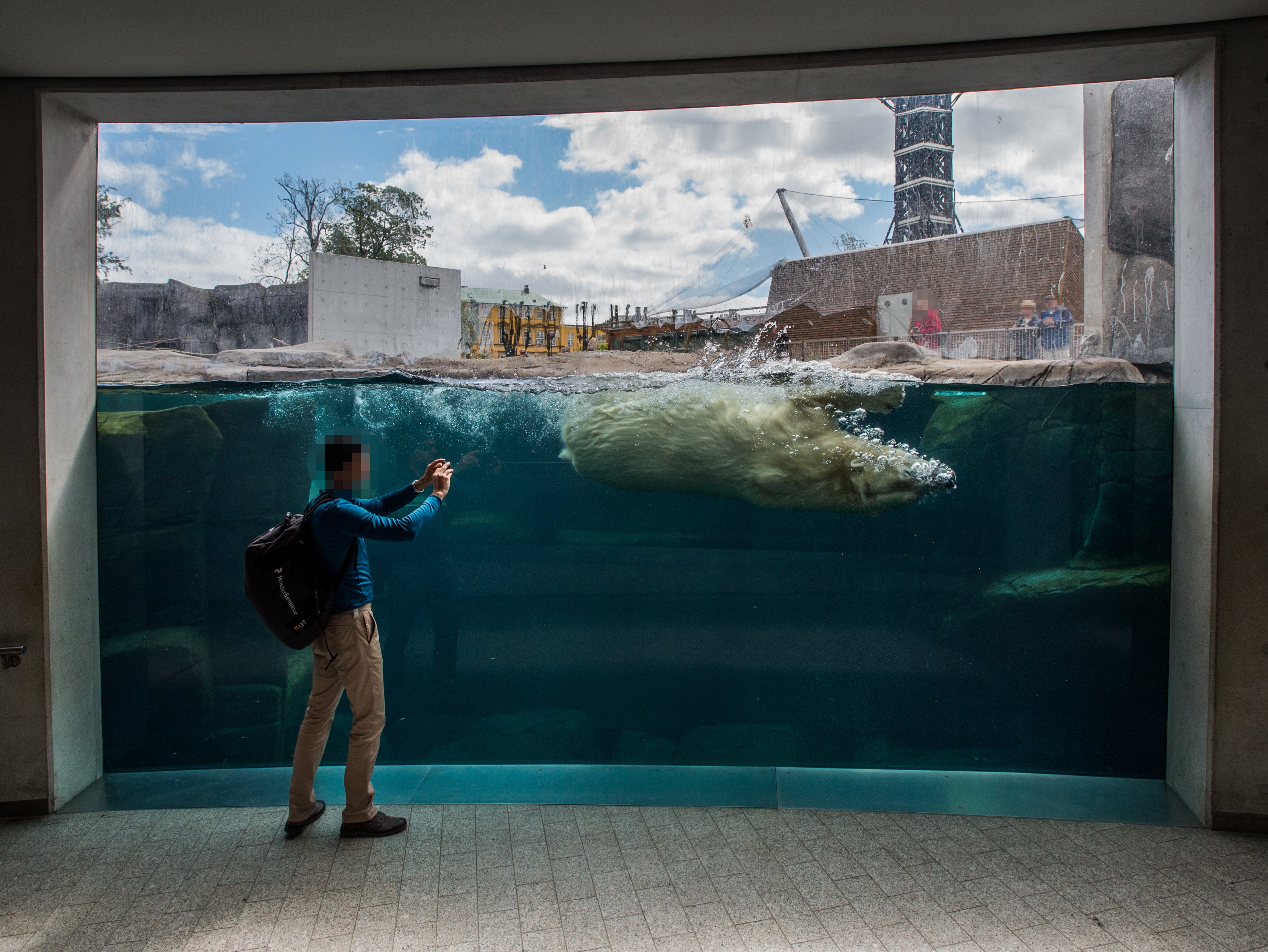 Copenhagen zoo, Denmark