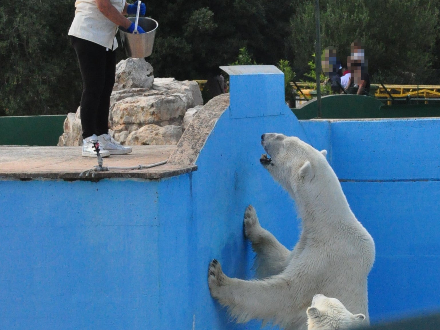 An Italian zoo