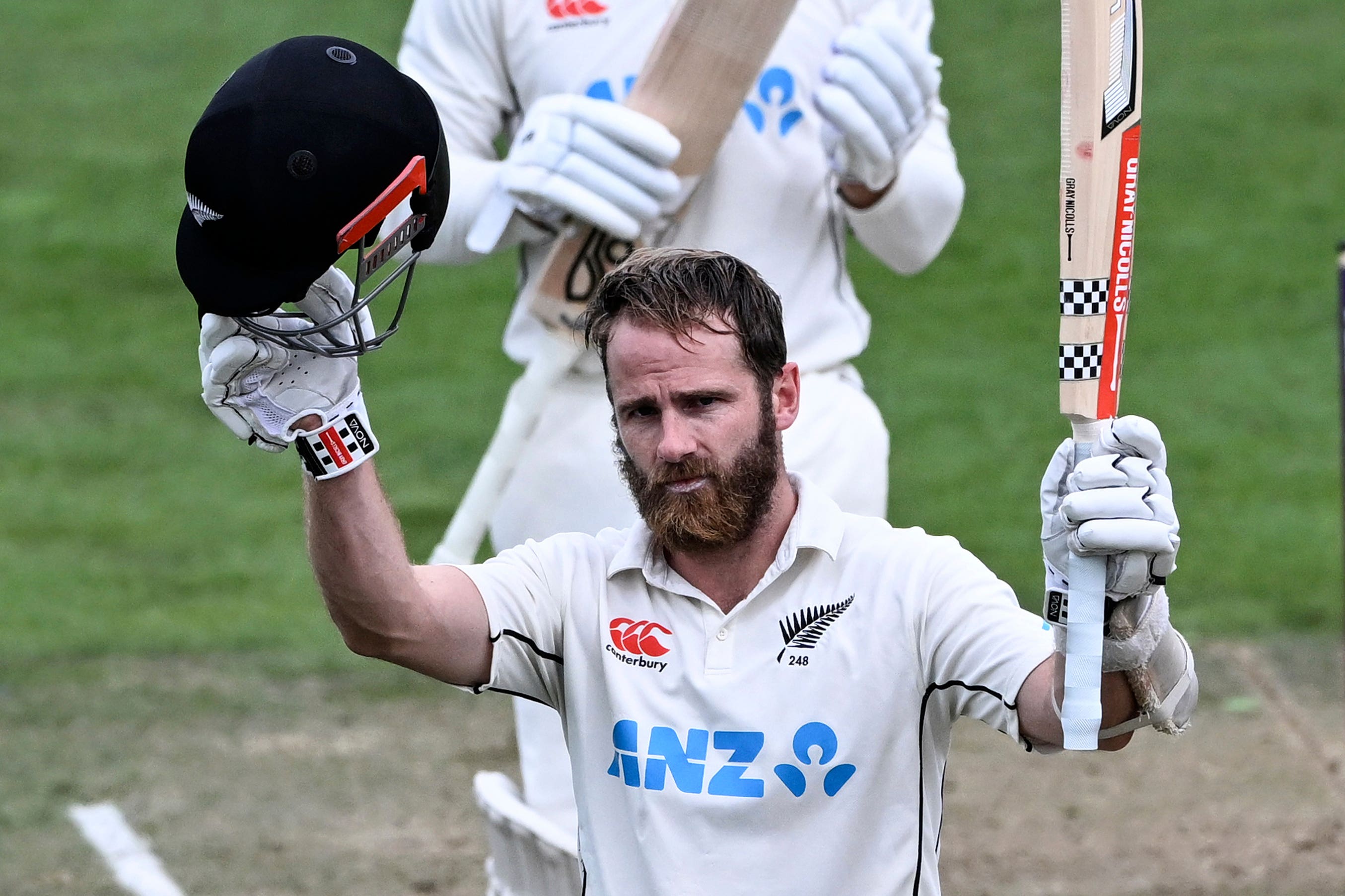 Kane Williamson celebrates his century ( (Andrew Cornaga/Photosport/AP)