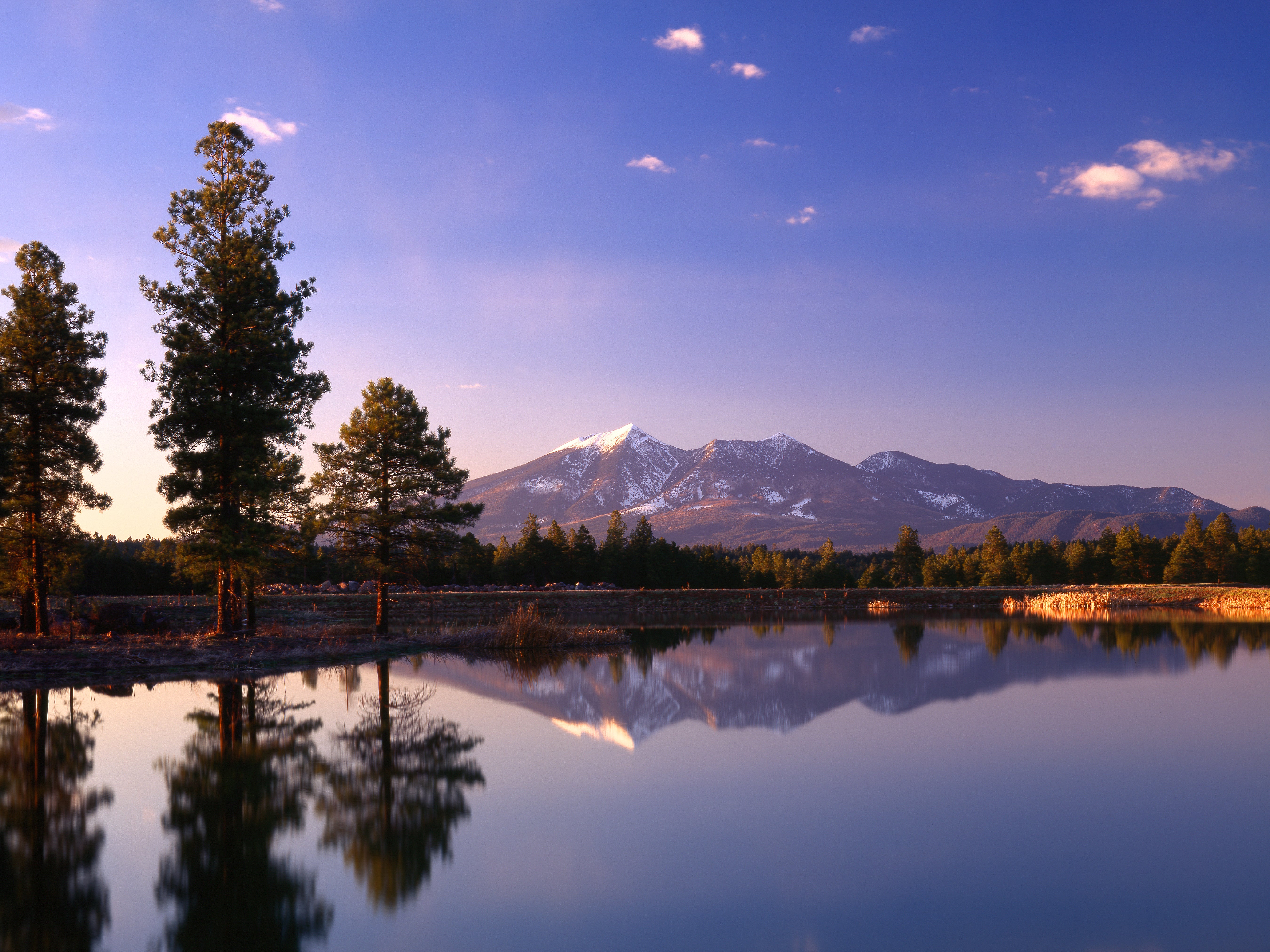 Pause en route to enjoy the stunning pine-clad vistas of Flagstaff