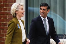Rishi Sunak’s Brexit deal ‘formidable achievement’, says former Brexit minister
