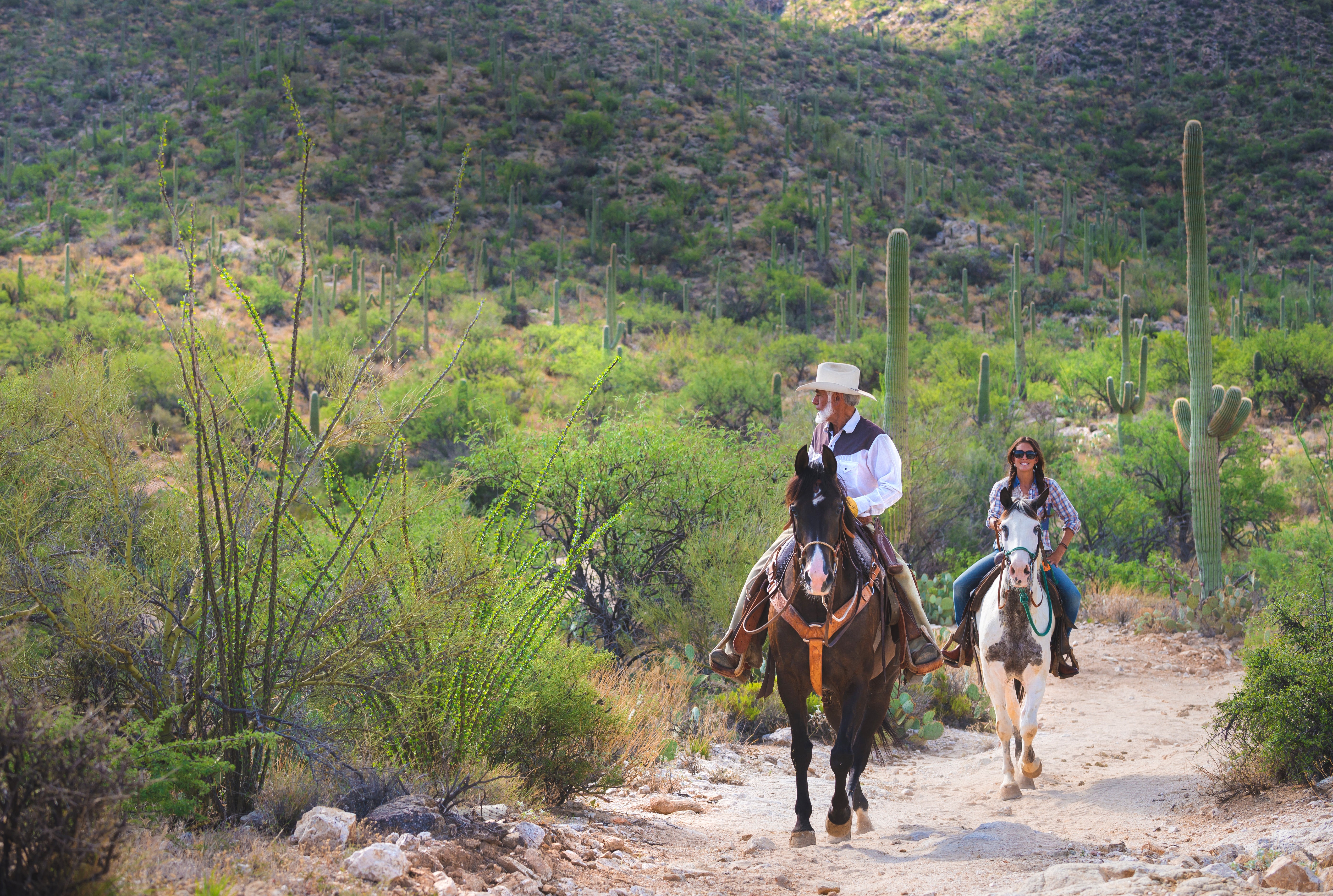 This drive begins amid the verdant, cacti-clad surrounds of Tanque Verde