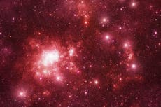 Stargazing in March: Leo’s leading light