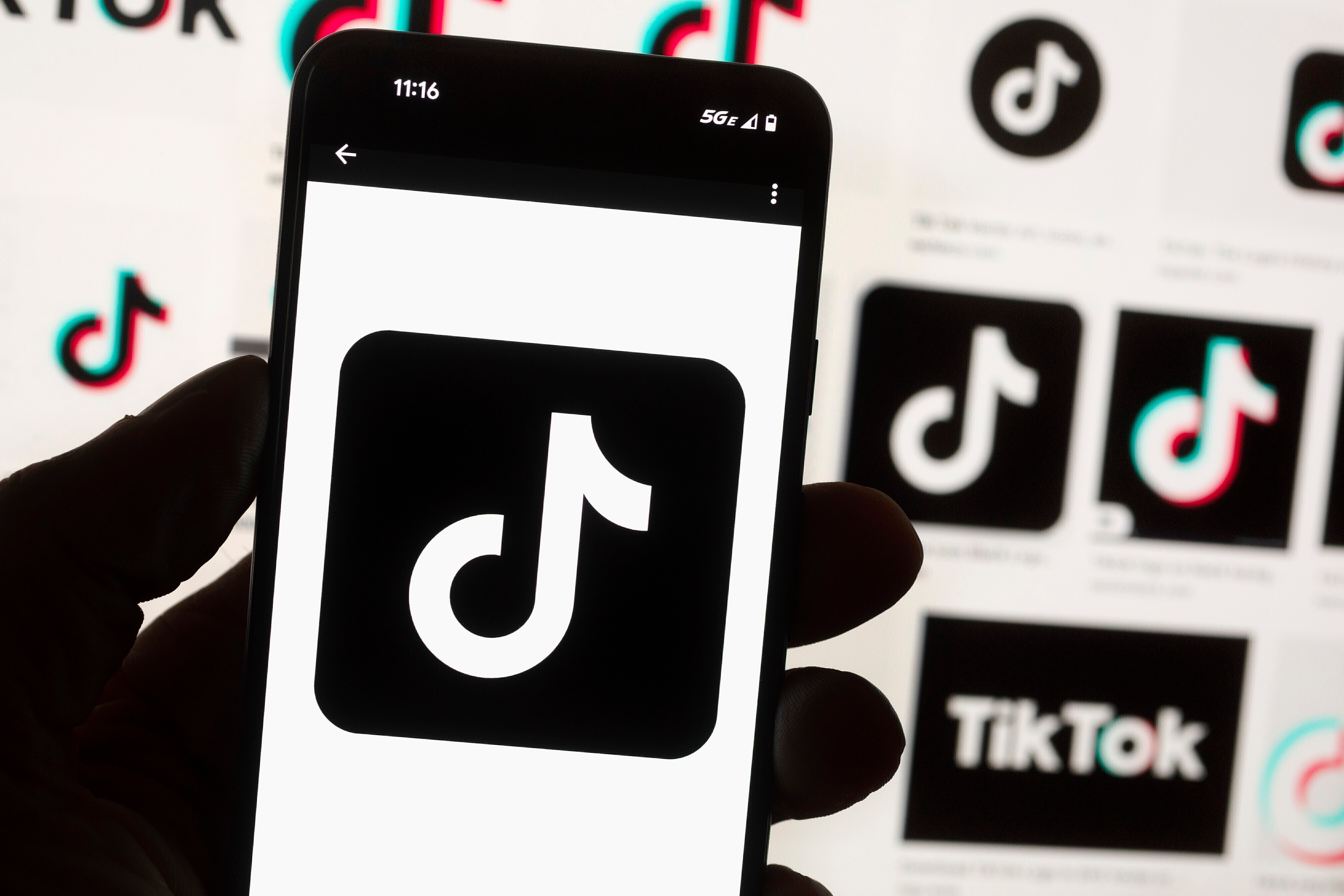 TikTok Ban Explainer