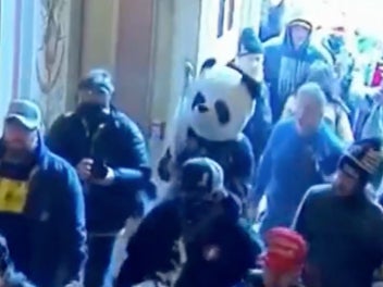 A man who took part in the insurrection wearing a panda costume has been arrested by the FBI