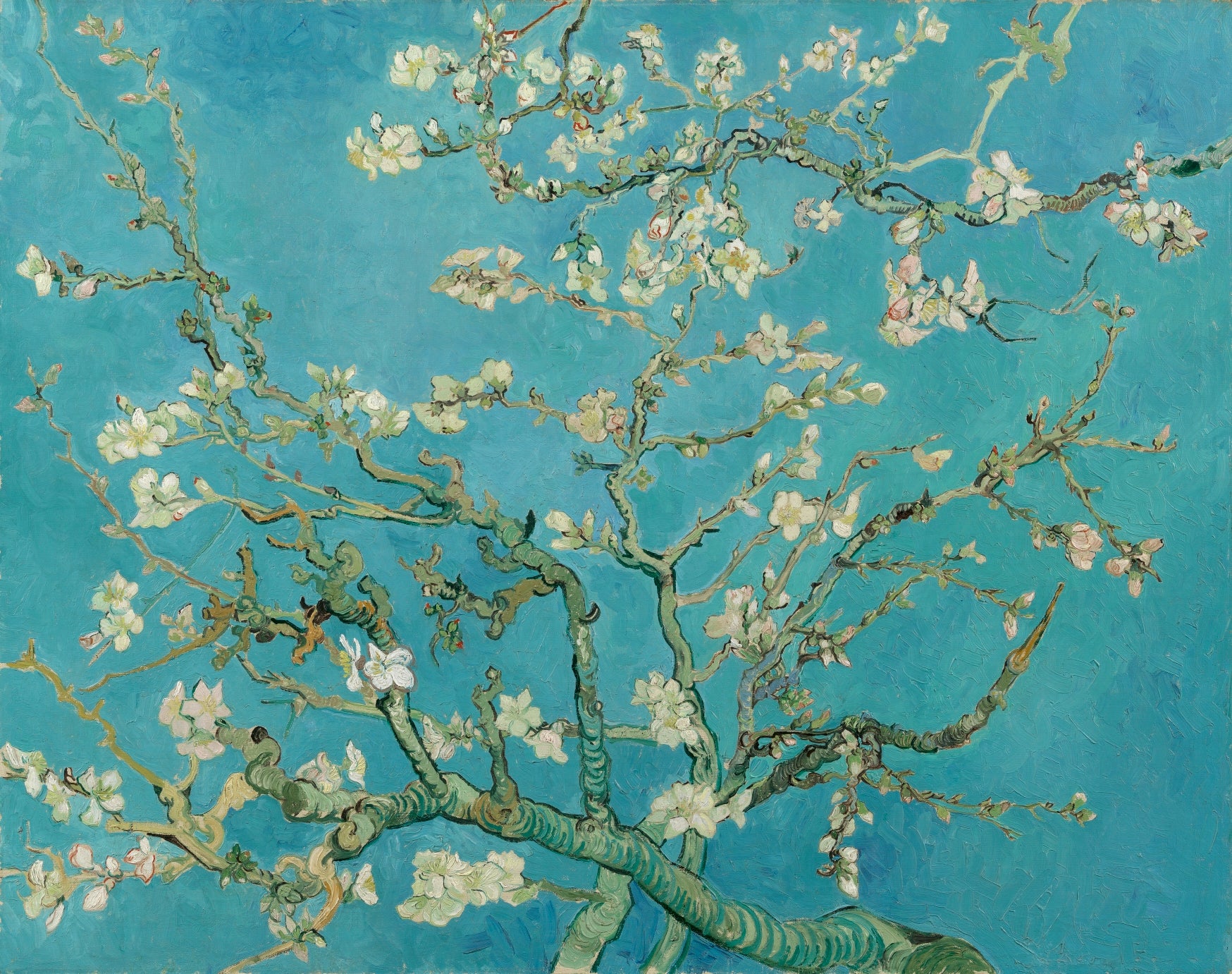 ‘Almond Blossom’, Vincent van Gogh (1890), Van Gogh Museum, Amsterdam