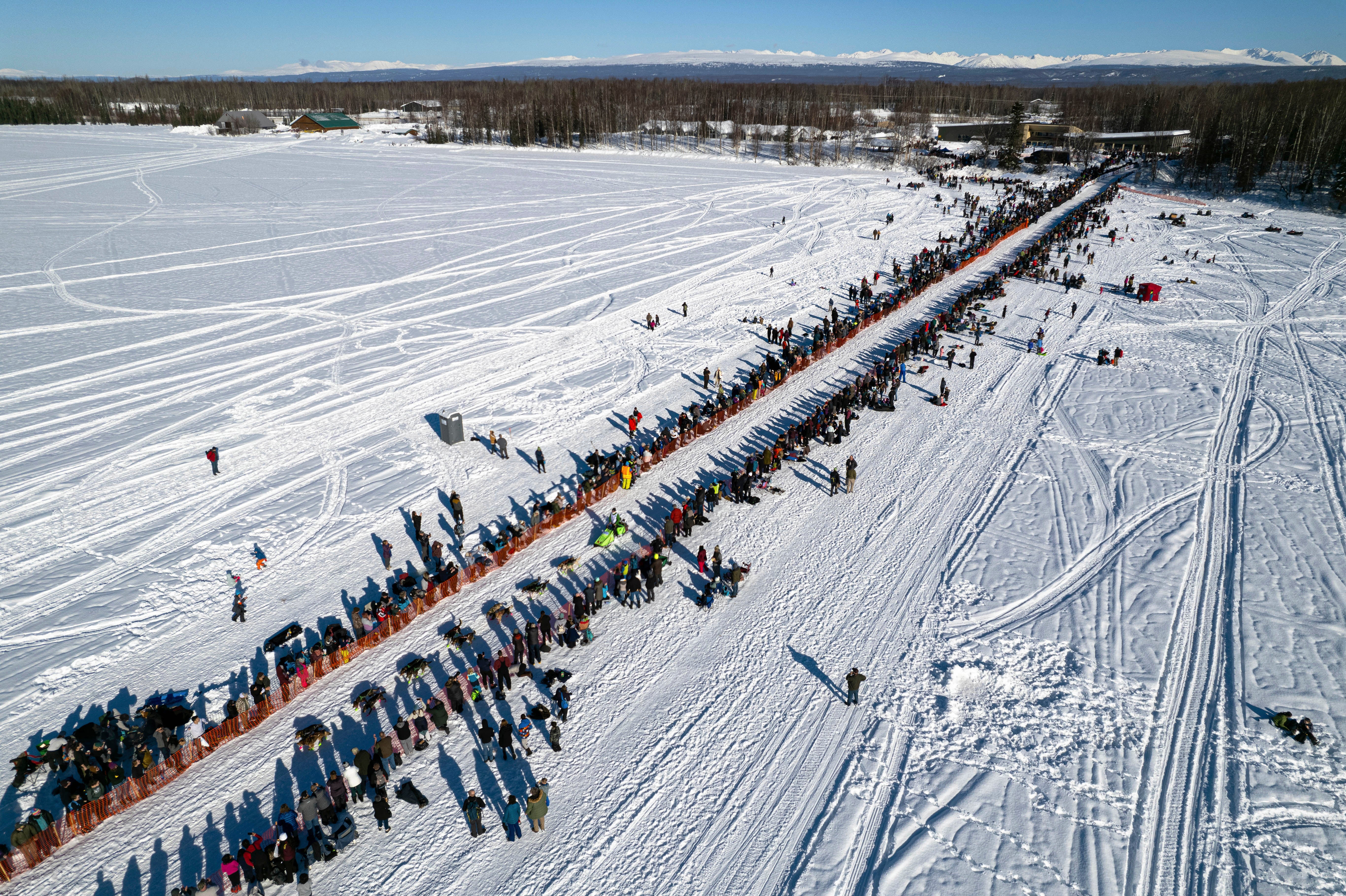 Iditarod Dwindling Mushers