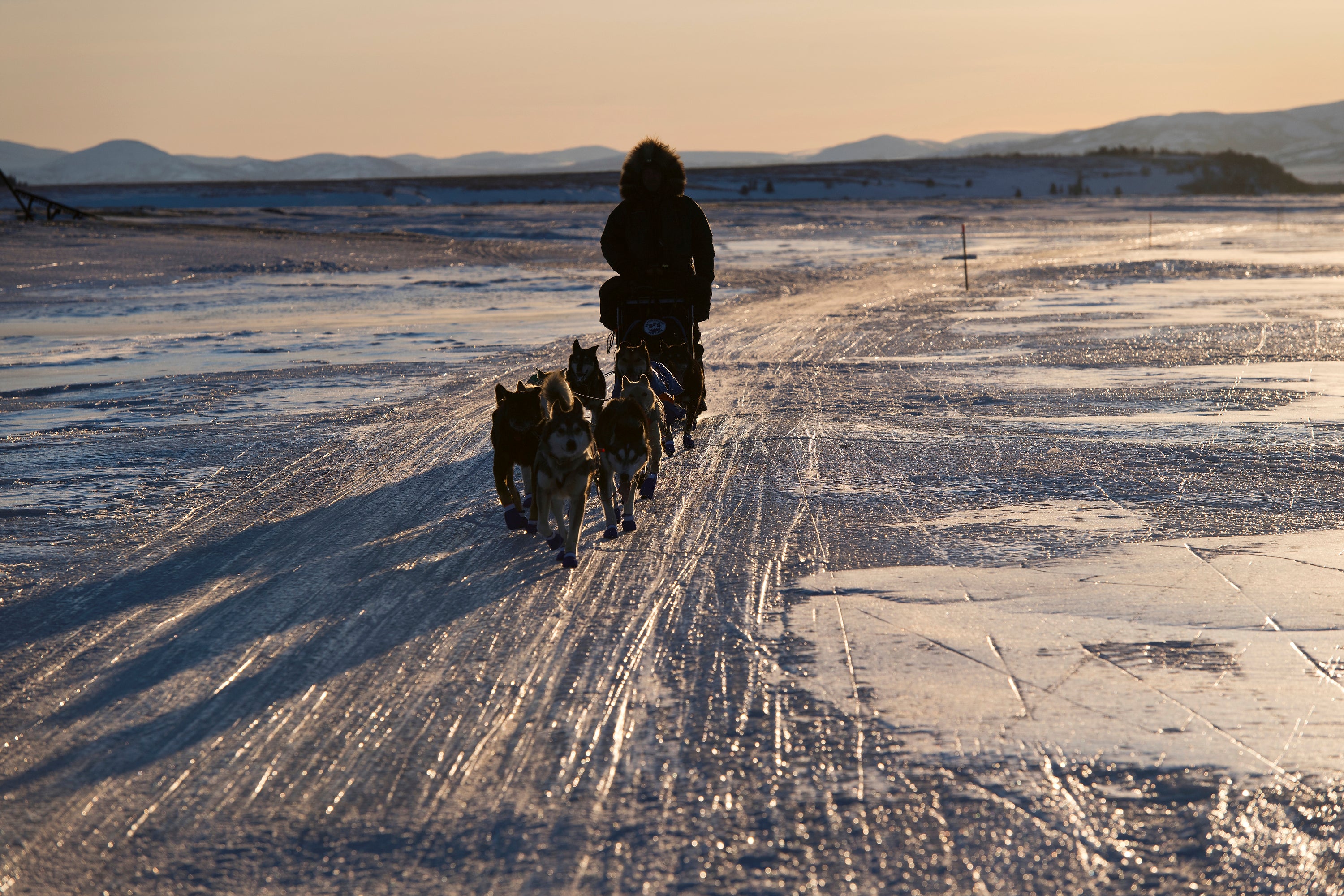 Iditarod Dwindling Mushers