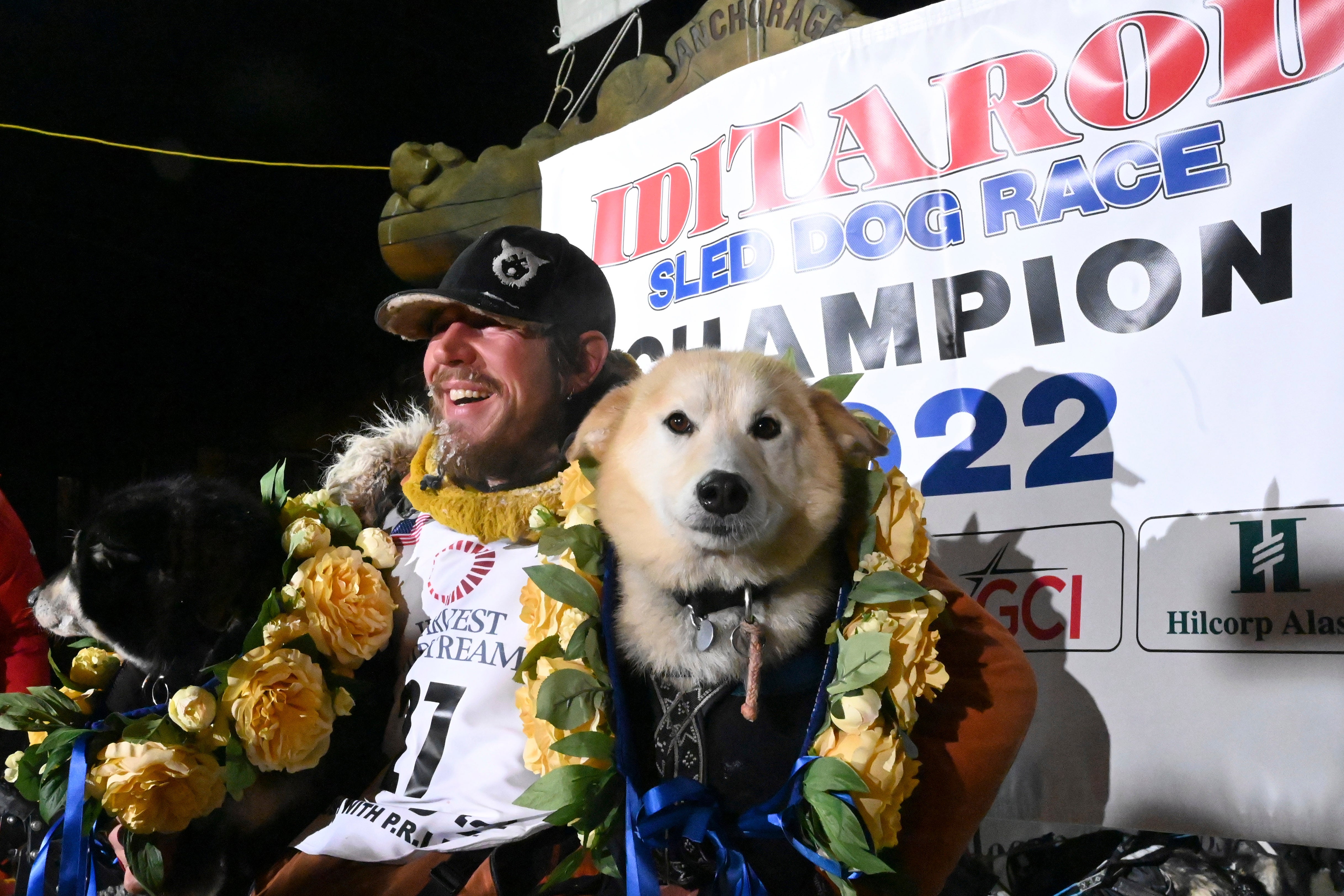 Iditarod Dwindling Mushers