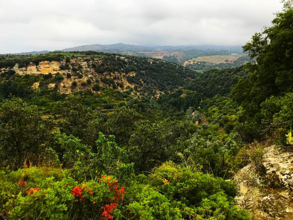 View from the ridge at ancient Eleutherna, Crete