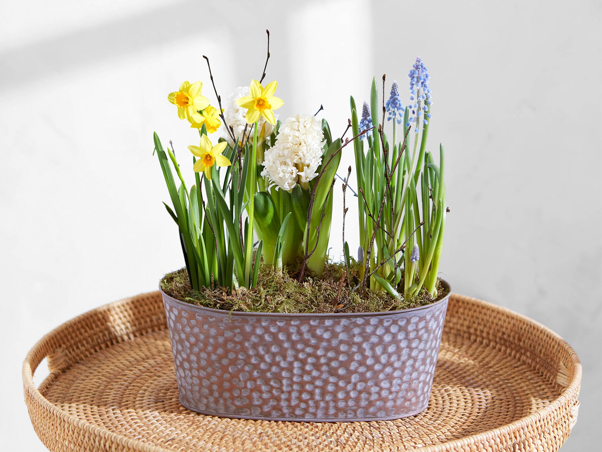 Bloom and Wild wild spring planter