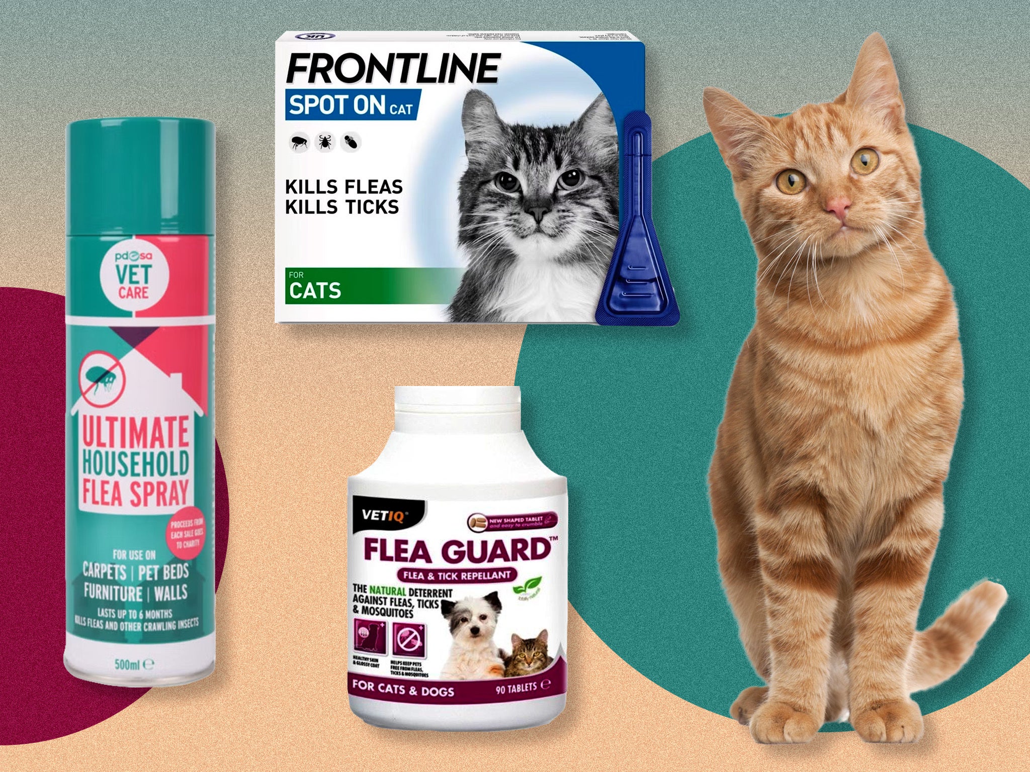 Vet-recommended flea treatments and preventatives for your cat, from spot-on to oral solutions