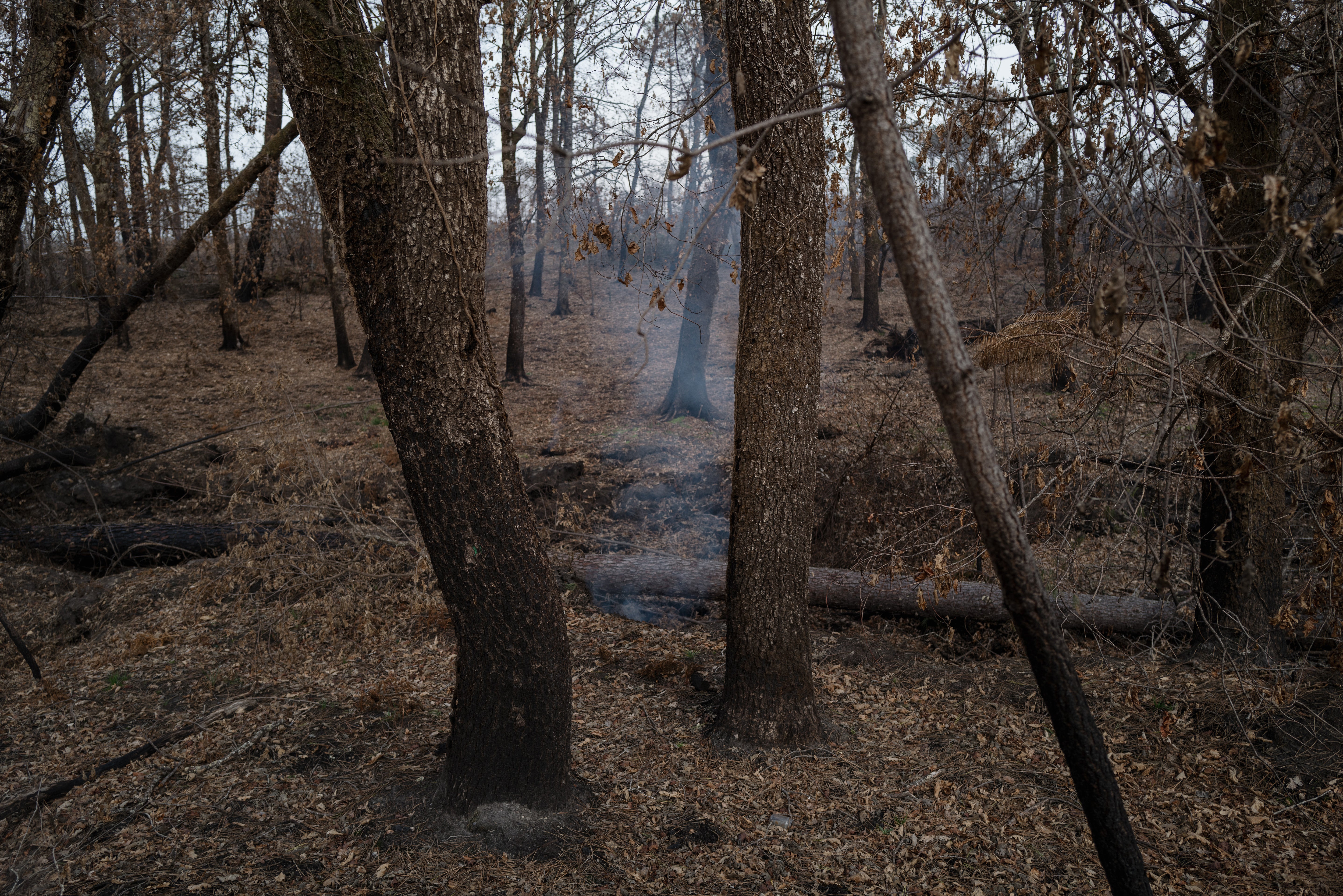 The ground is still smoldering from last summer’s wildfire in southwest France