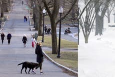 Snow has been a no-show for some traditionally wintry cities