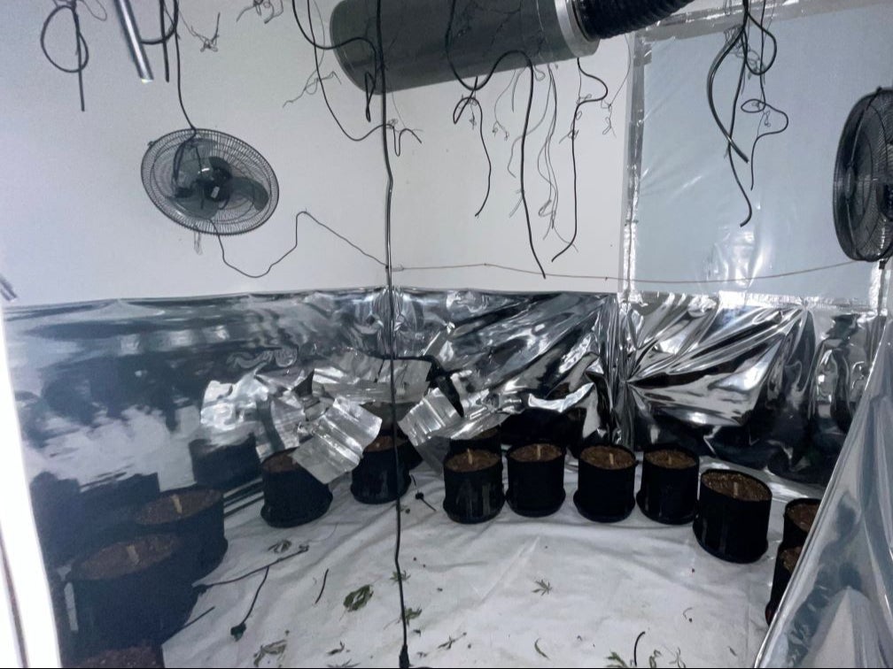 The £275,500 listing shows images of what appear to be cannabis leaves on the floor and pots filled with soil