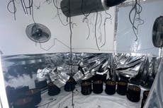 Ex-cannabis farm in London up for sale to the highest bidder