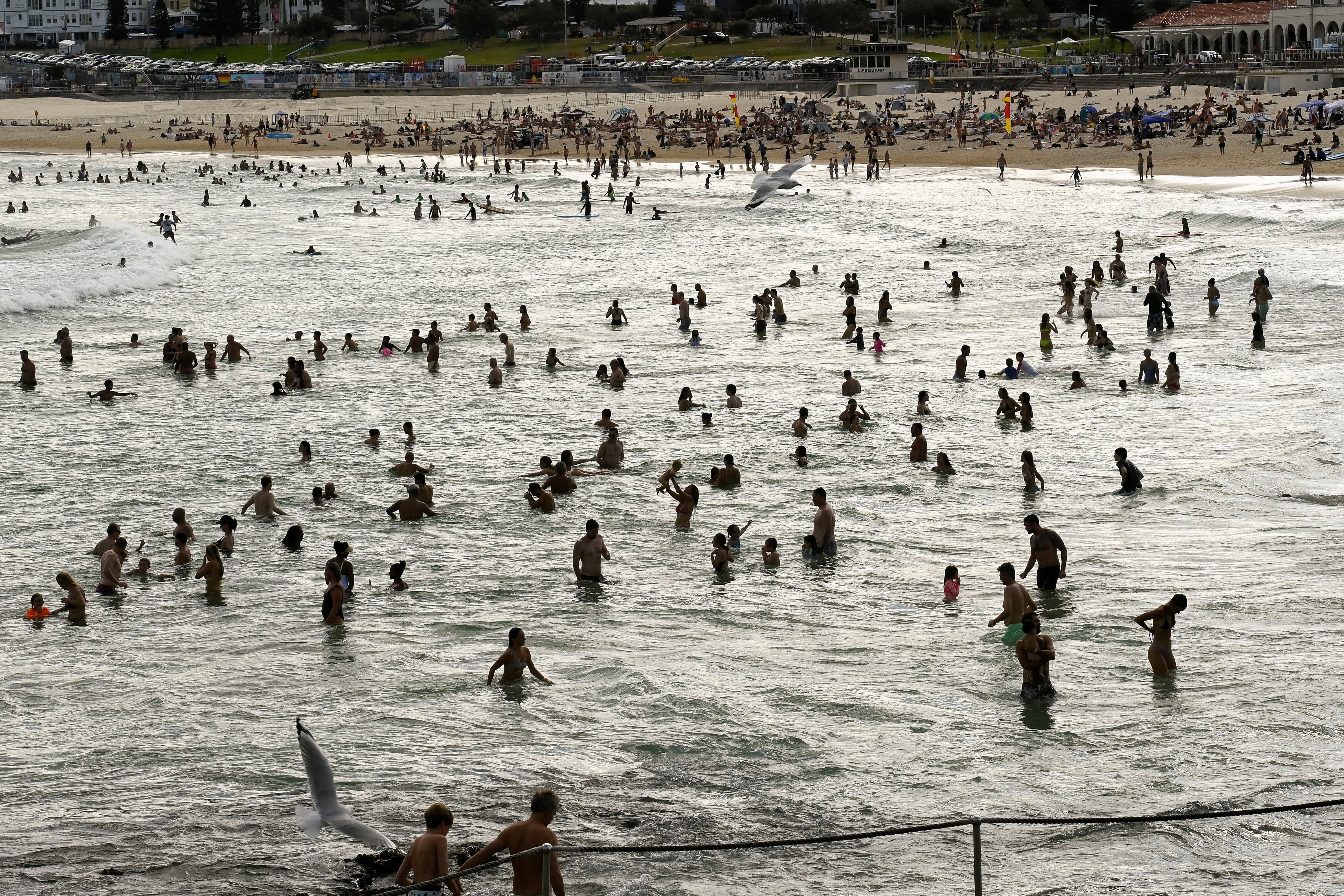 Crowds of people enjoy the water at the beach as parts of Australia’s east reached their hottest day in more than two years amid temperatures which rose to 40C