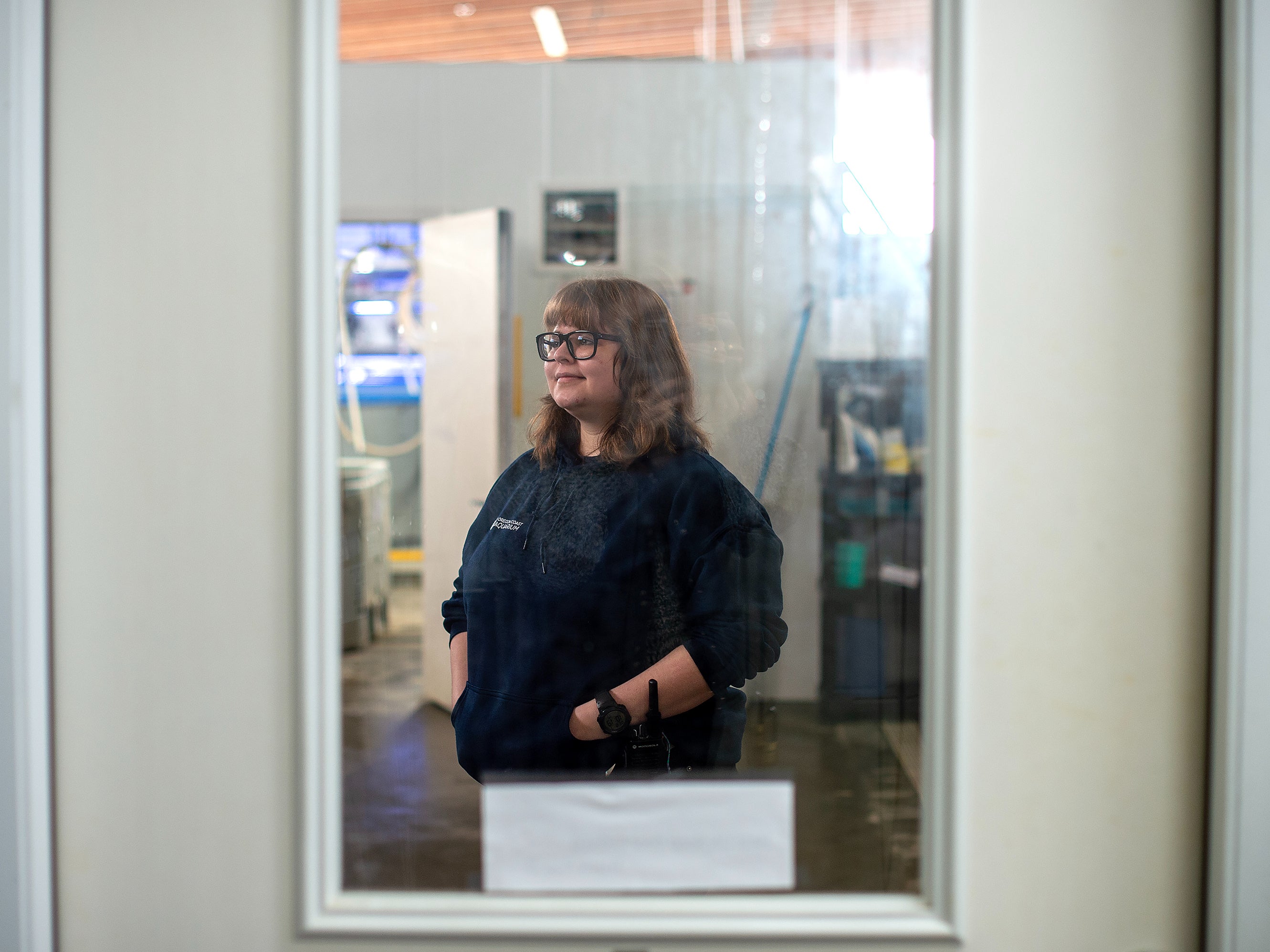 Tiffany Rudek, an aquarist, rehabilitates sea stars at the Oregon Coast Aquarium in Newport