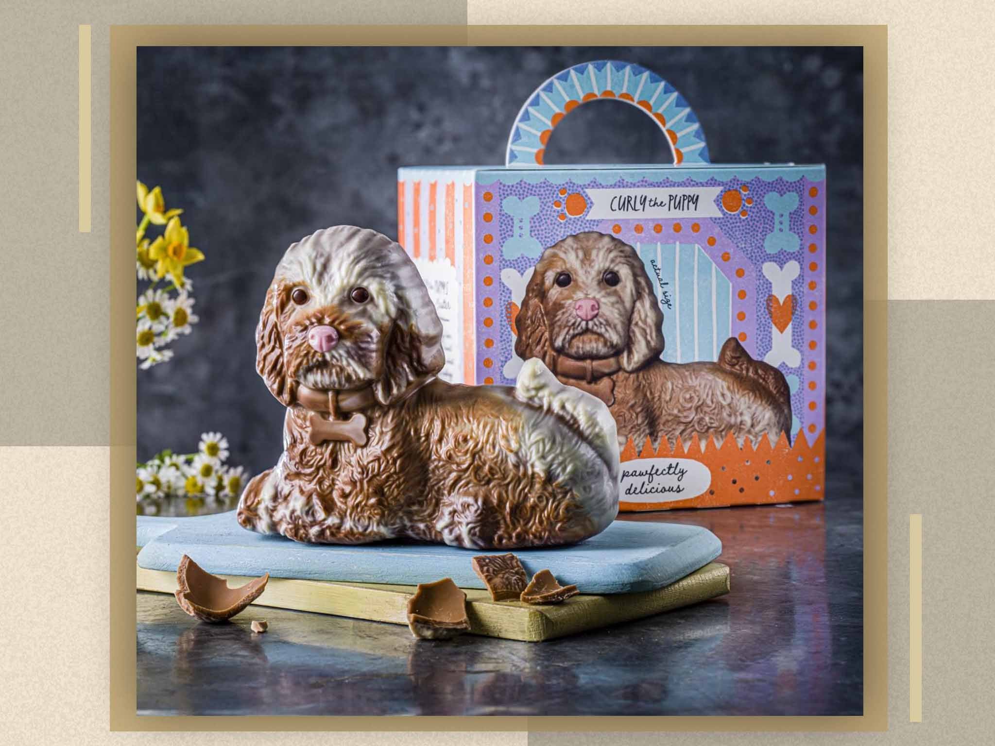 M&S’s chocolate Curly the cockapoo is bound to melt hearts this Easter