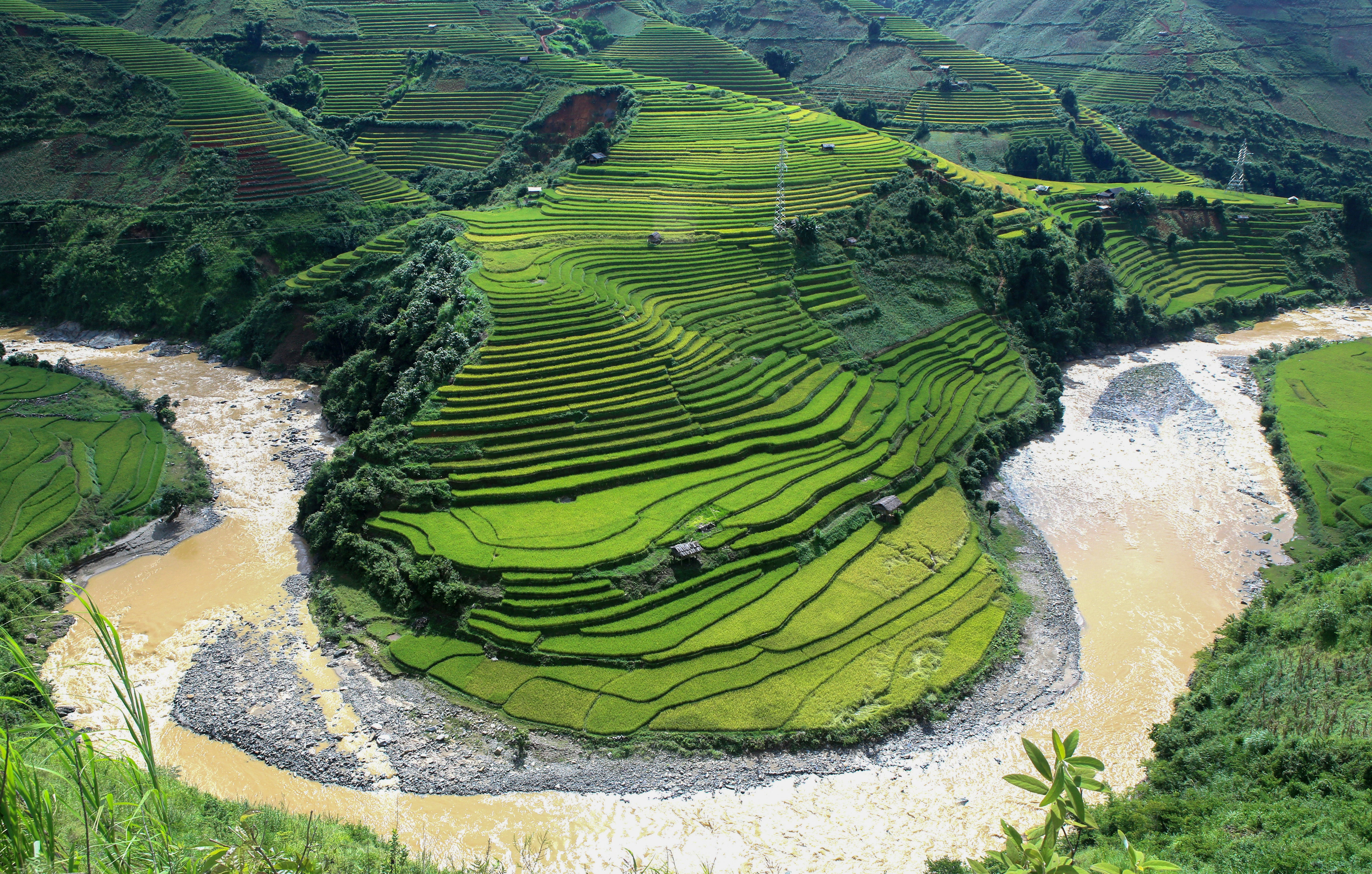 Climate Change Food System