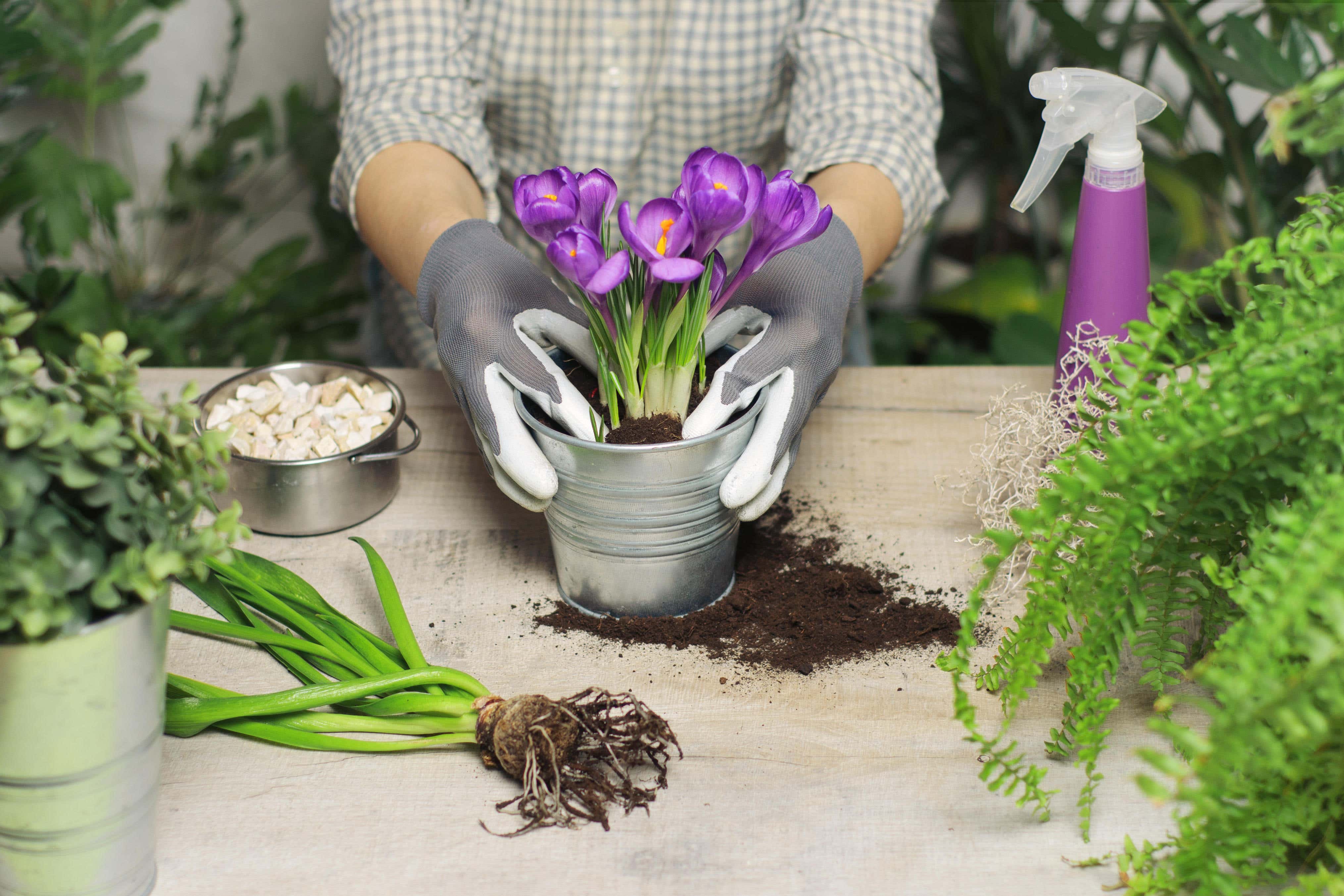 Lay the ground now for a gorgeous garden (Alamy)