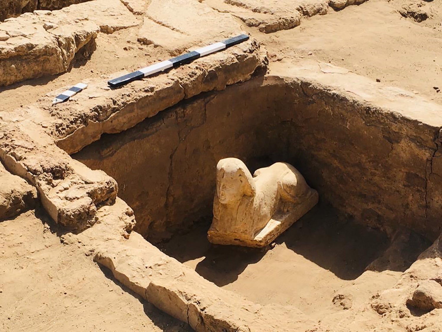 An undated handout photo made available by the Egyptian Ministry of Antiquities on 6 March shows a Sphynx statue unearthed during excavation work at the eastern side of Dendara Temple in Qena governorate, Egypt