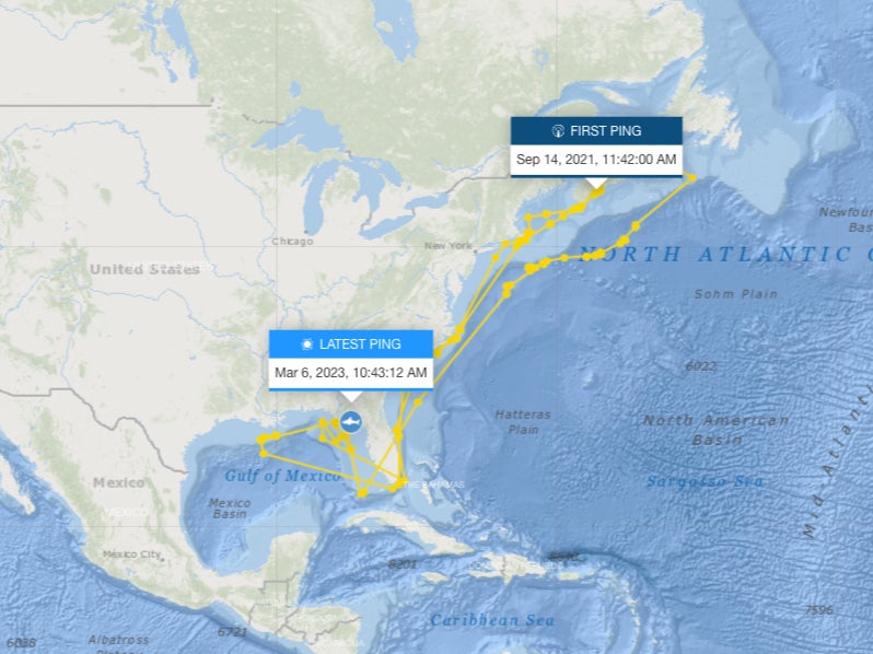 Maple has been tracked up and down the US East Coact