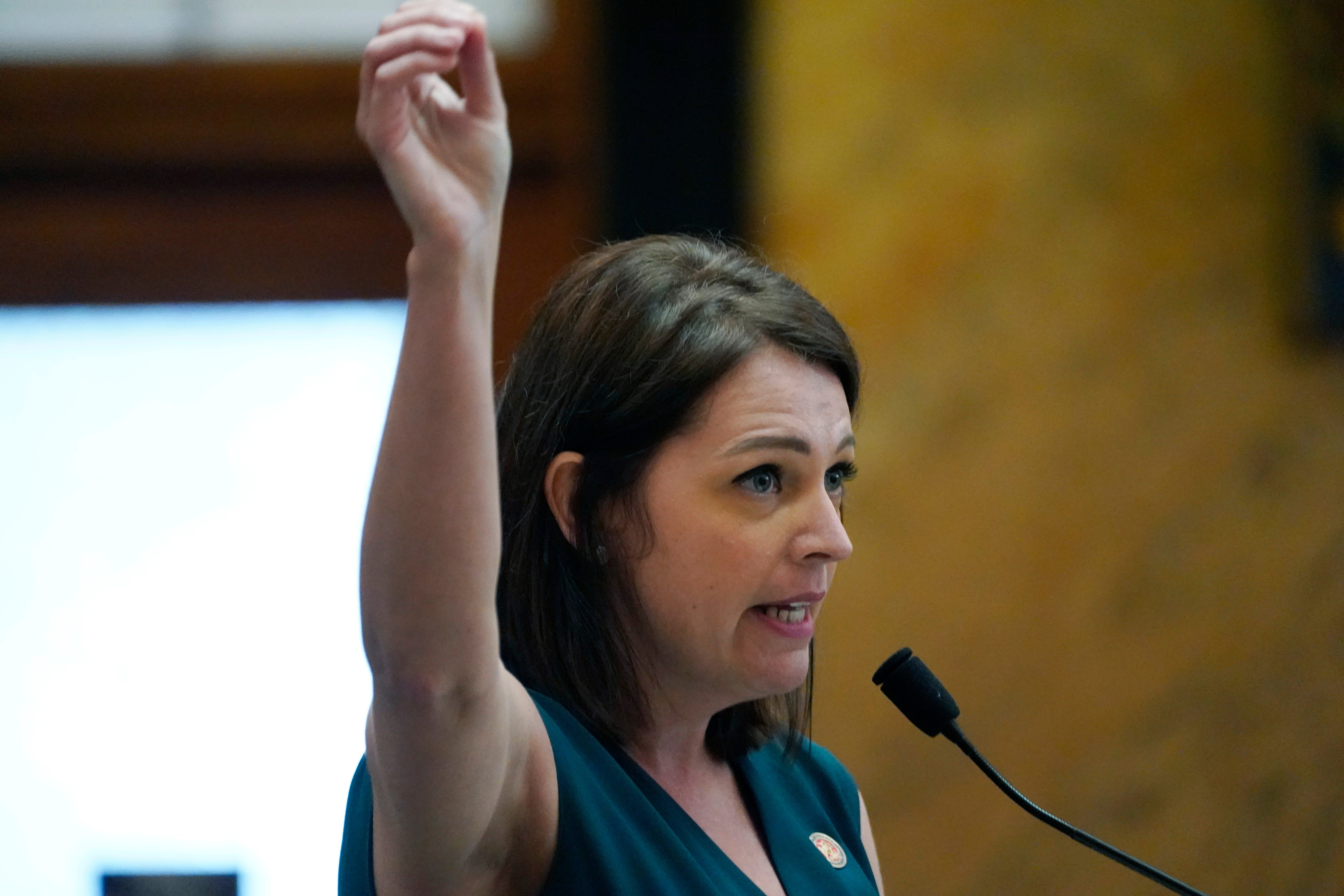 Black City White Legislature