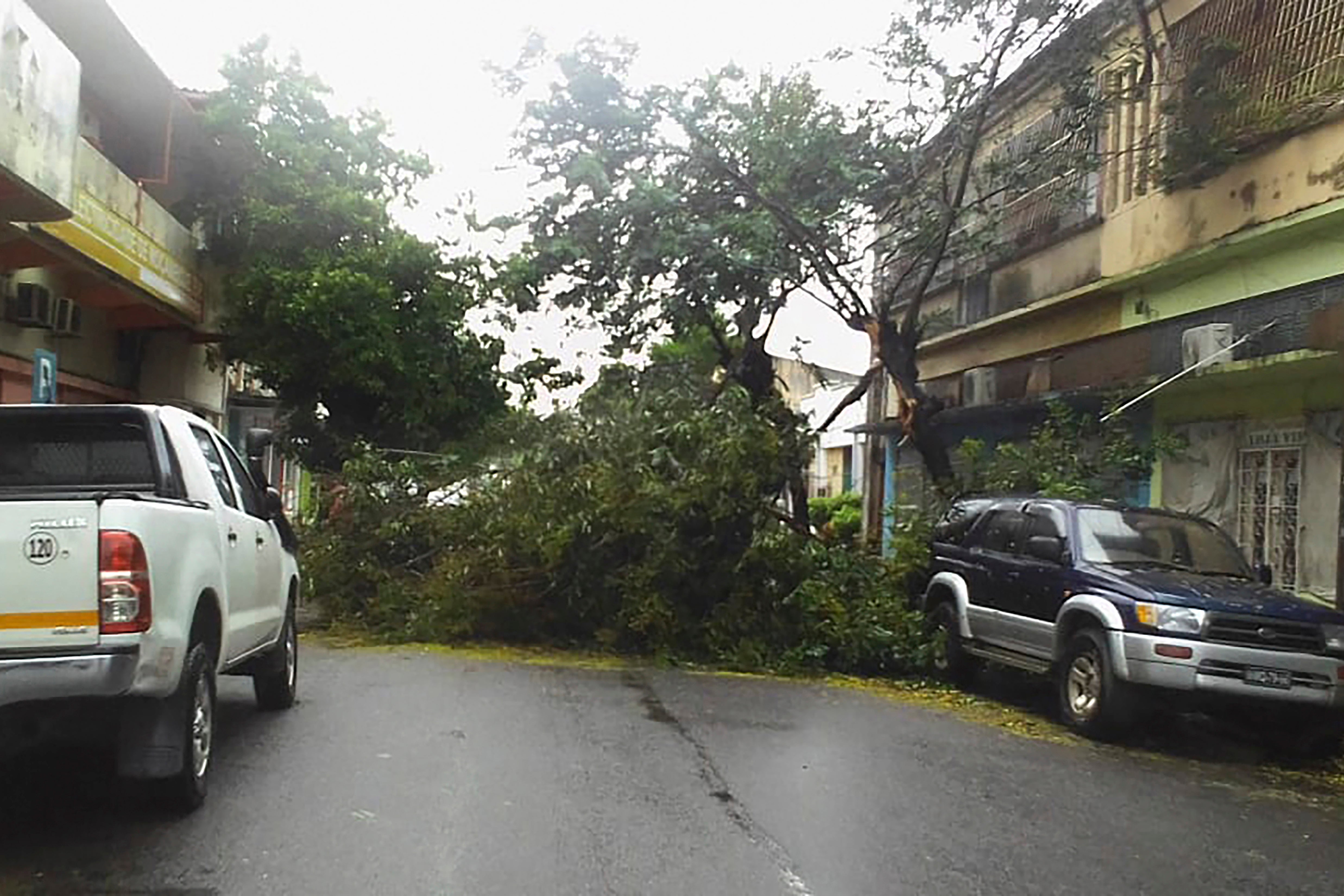 Mozambique Climate Freddy