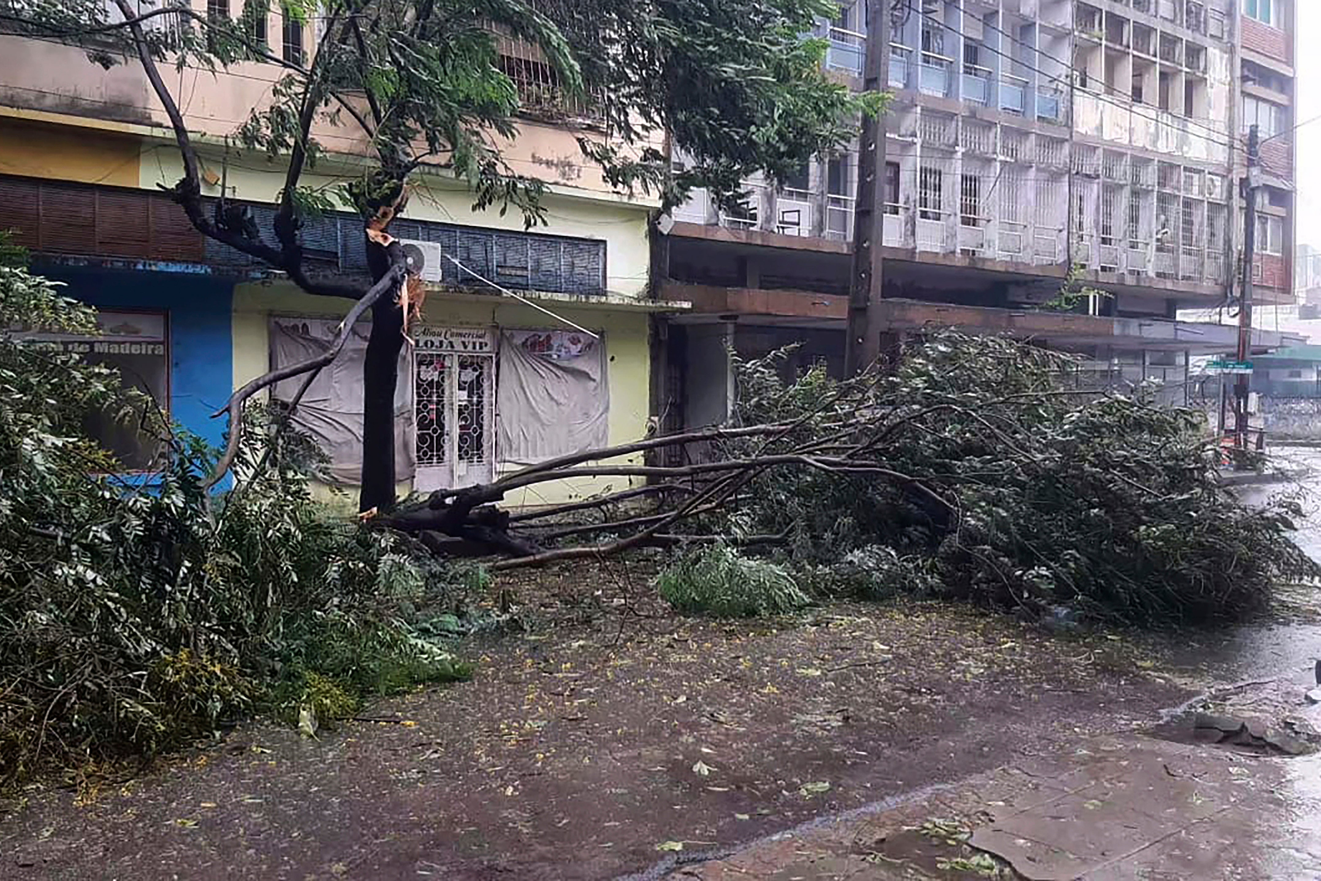 Mozambique Climate Freddy