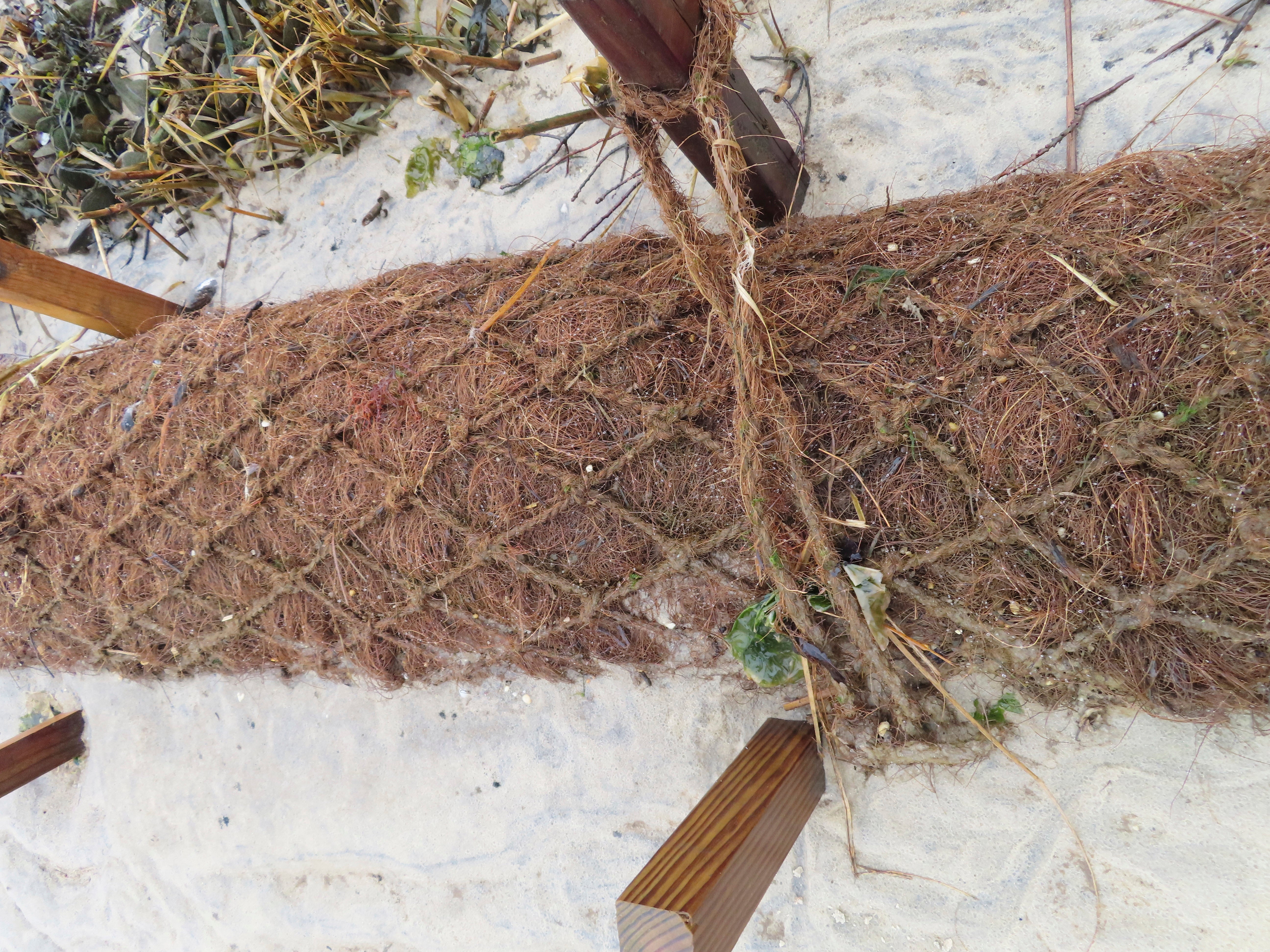 Coconuts Shoreline Protection