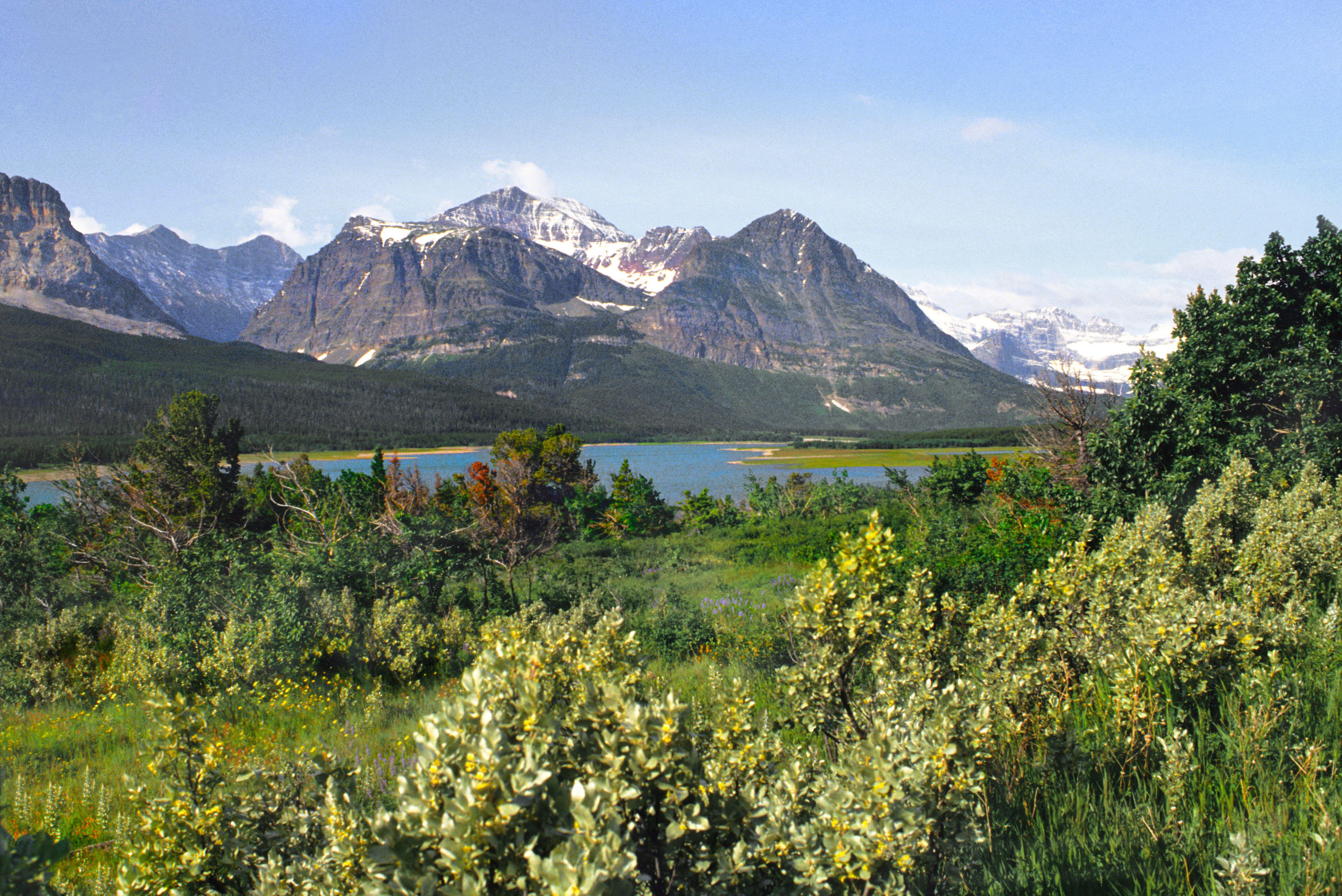 The US state is a convergence of rock and snow, forest and flowers beneath a vast sky