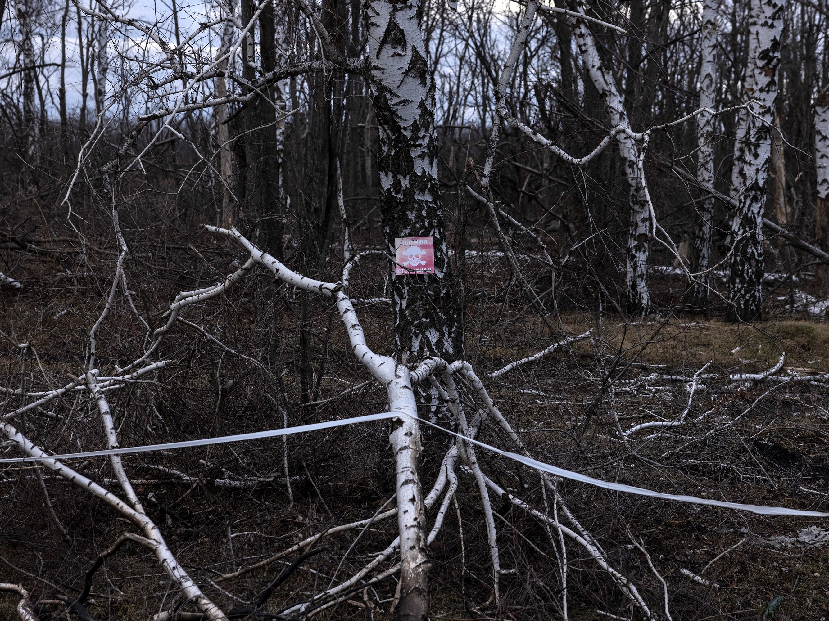 A sign warns of landmines in a damaged birch forest in the recently liberated Ukrainian city of Izyum
